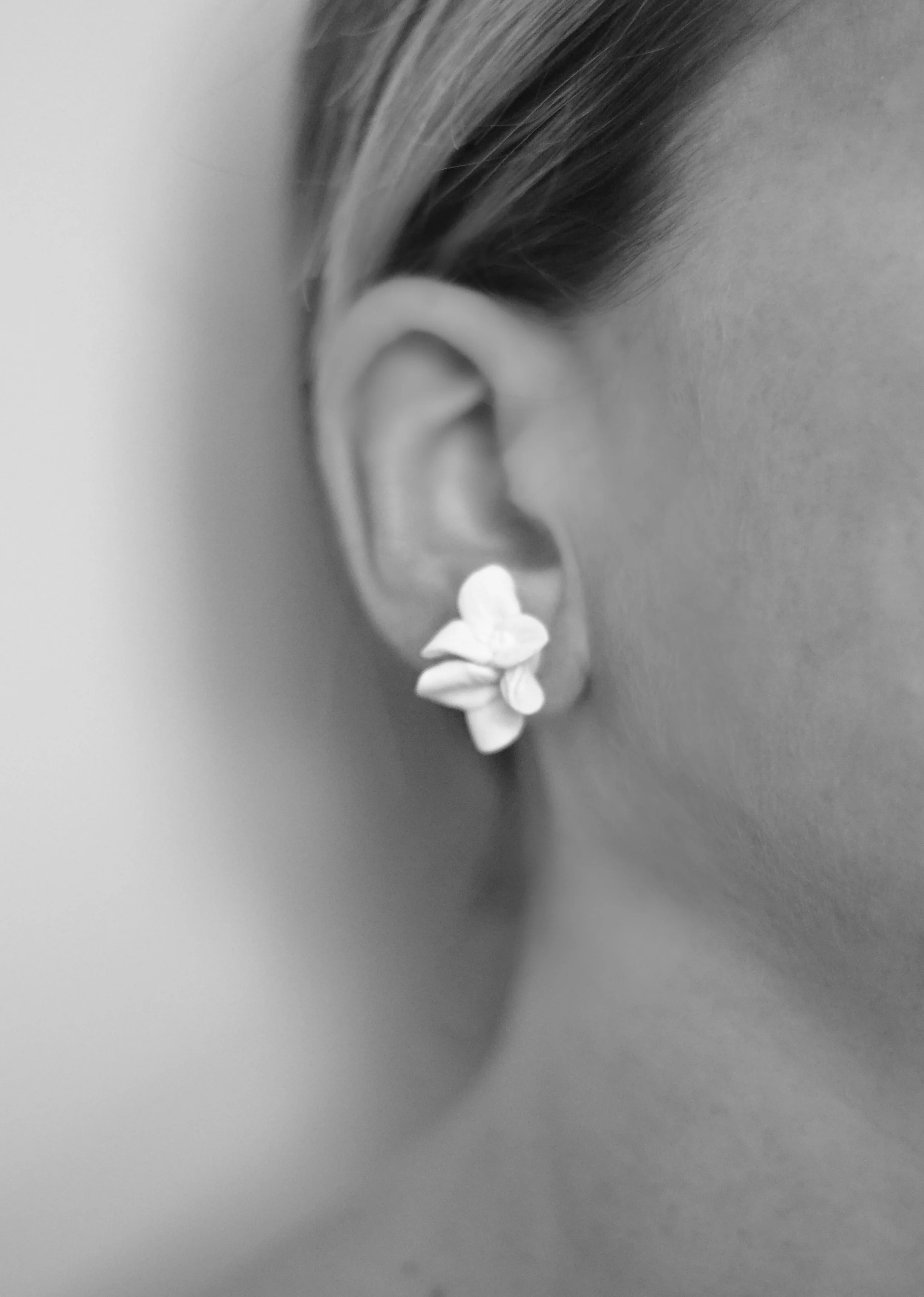 DSC_0076.jpeg