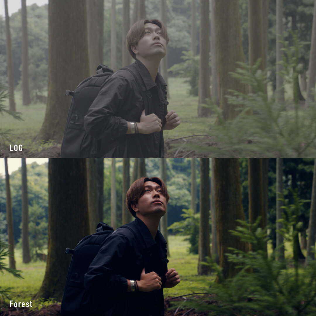 DIN-FILMS_FOREST_HP.jpg