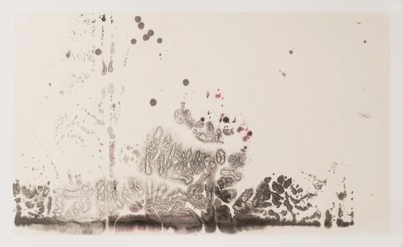 Ink and watercolor on rice paper