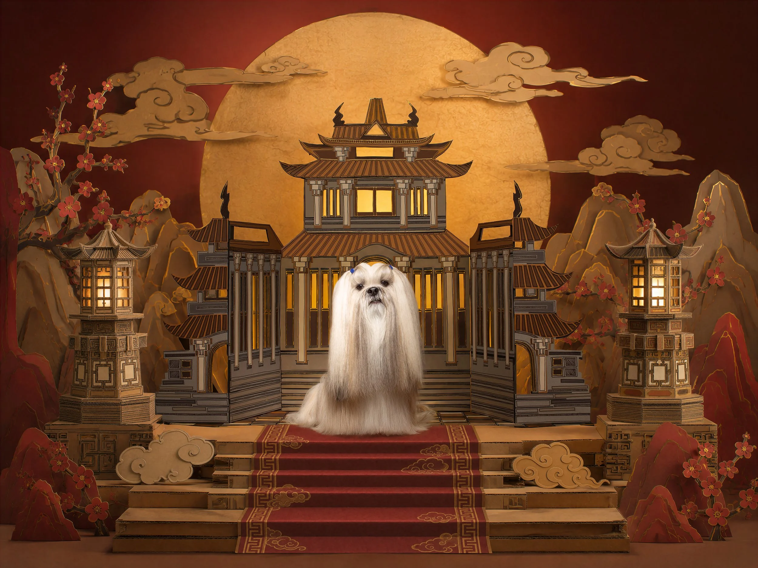 Paper Kingdom_WEB.jpg