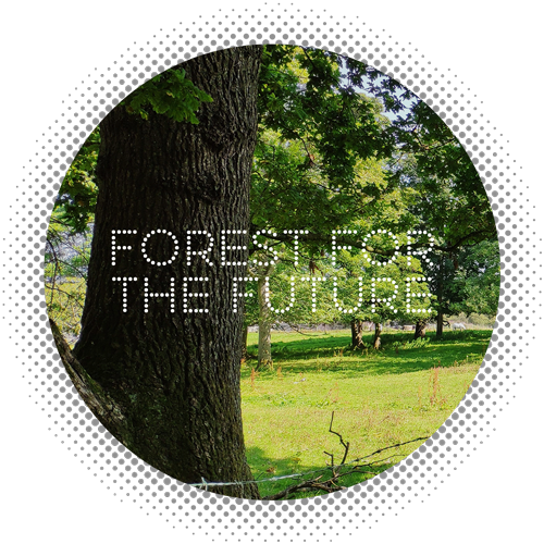 Forest for the Future with NIFSA