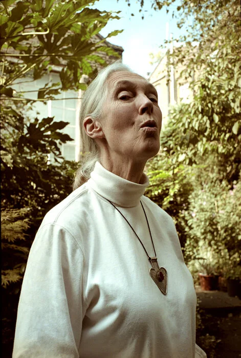 Jane Goodall