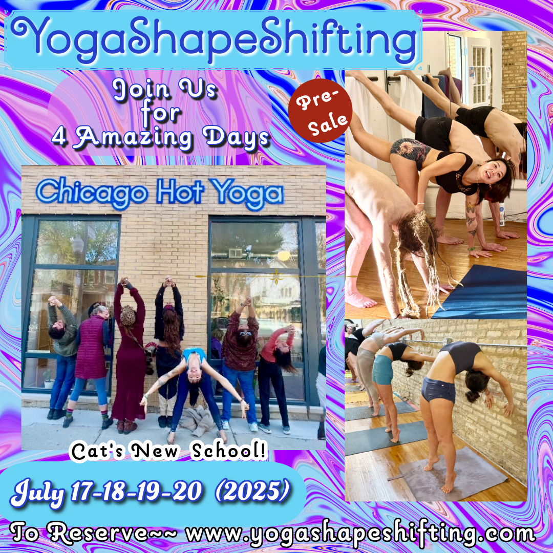 1-YSS Chicago July2025 IG -A.png