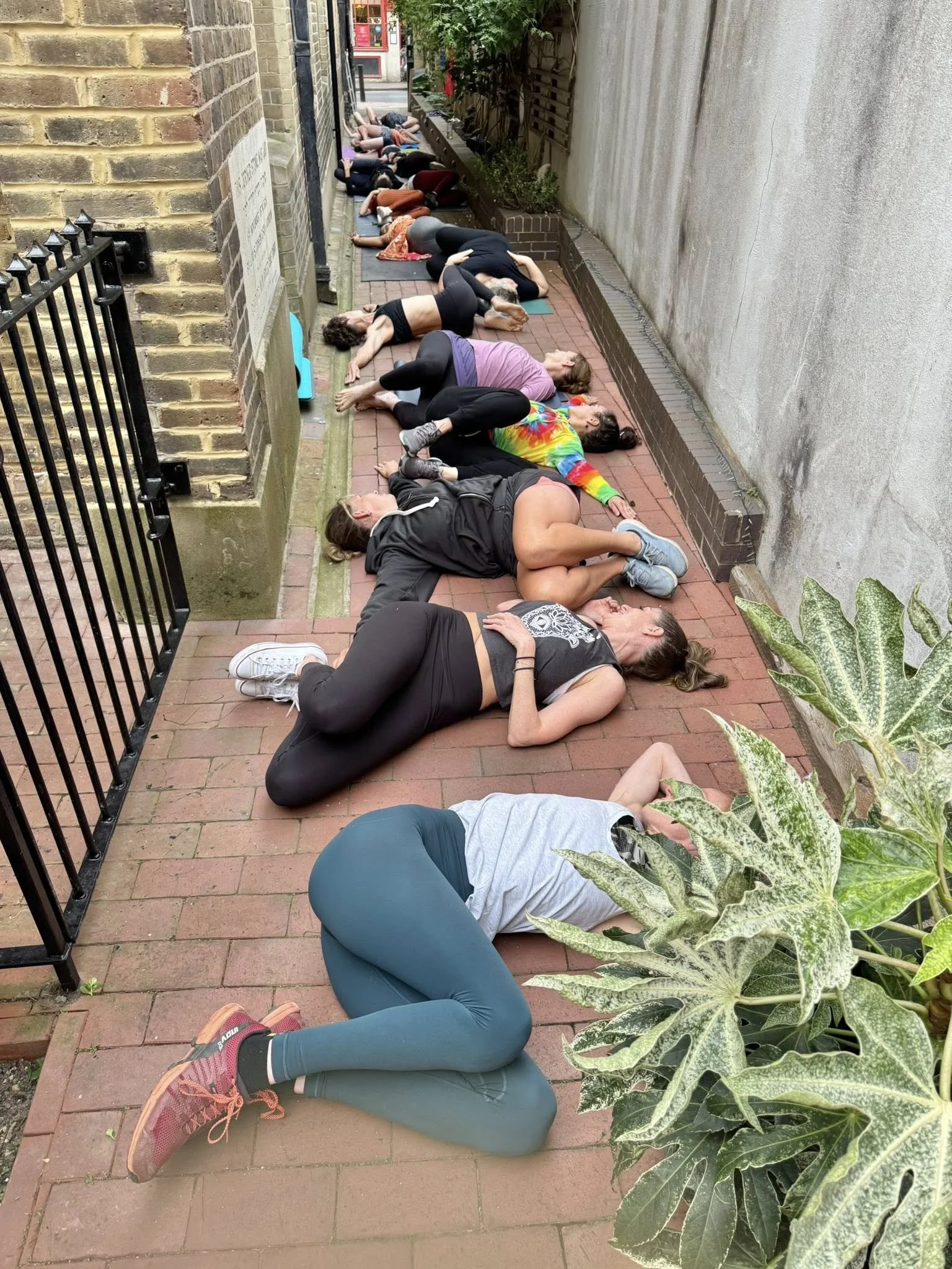 Brighton 6 spine Twist alley.jpg