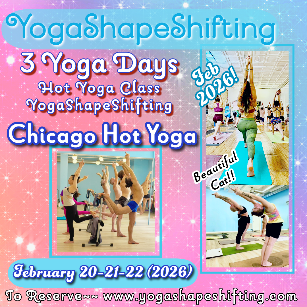 1-YSS Chicago Feb  2026.png