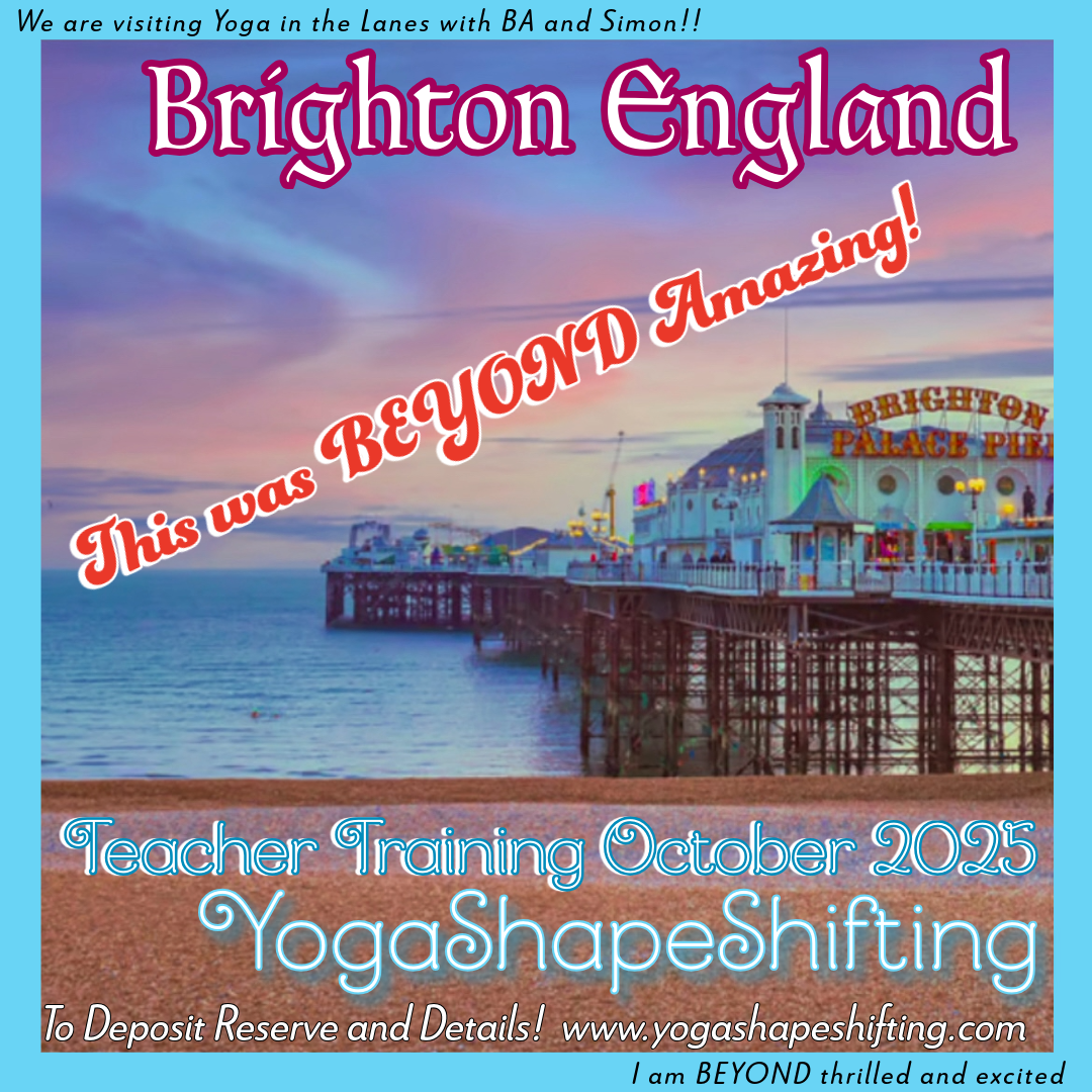 1-YSSTT Brighton October 2025 END Banner.png