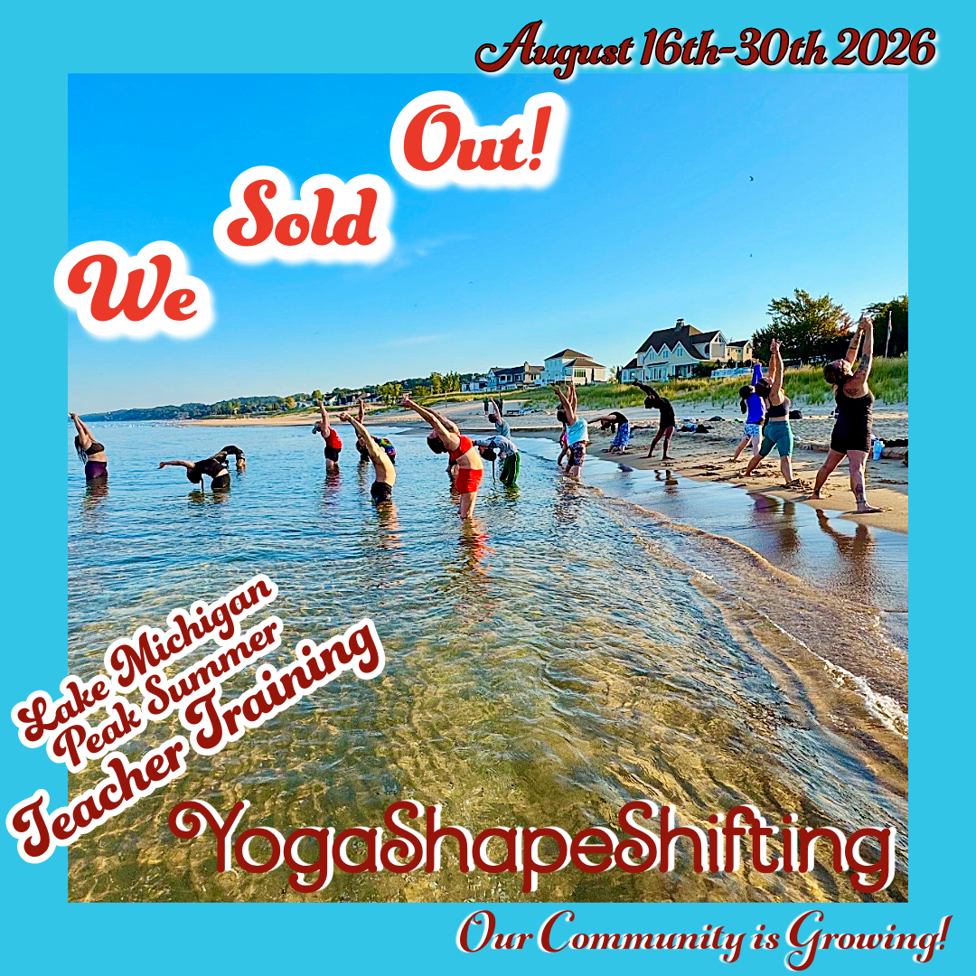 1-YSSLMTT WE SOLD OUT Aug 2026.png