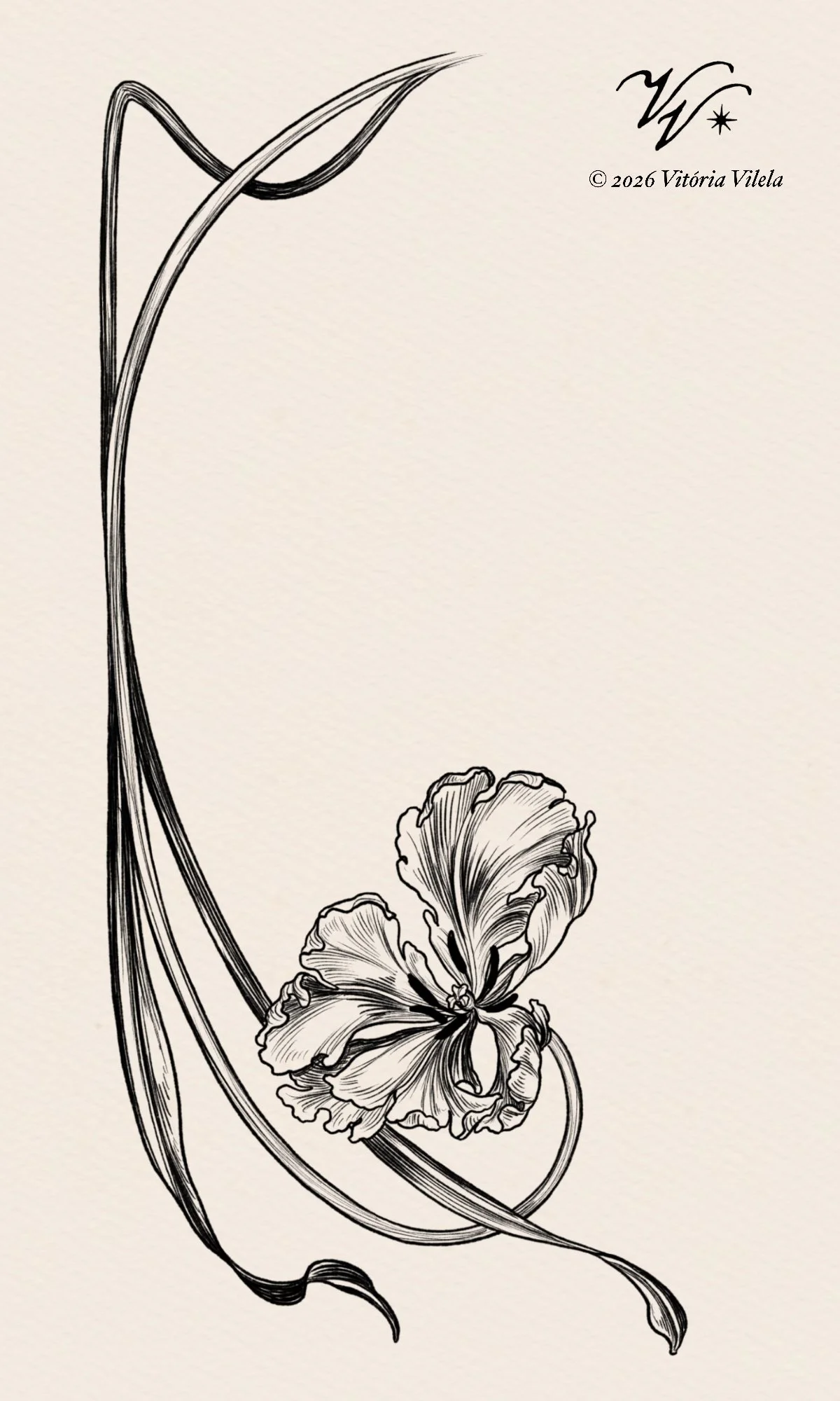 Tulip N.83 - Min. 20cm