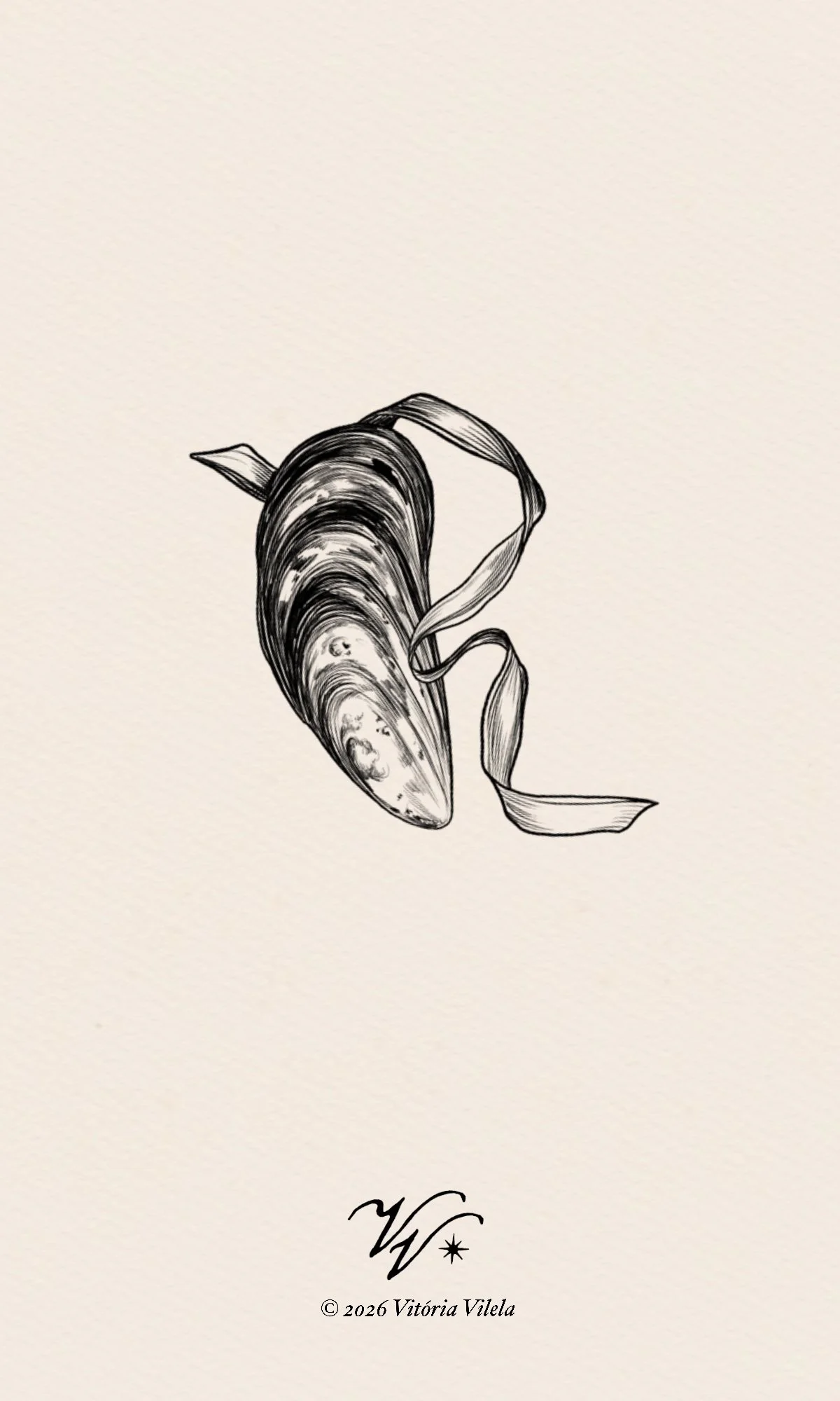 Shell N.12 - Min. 7cm