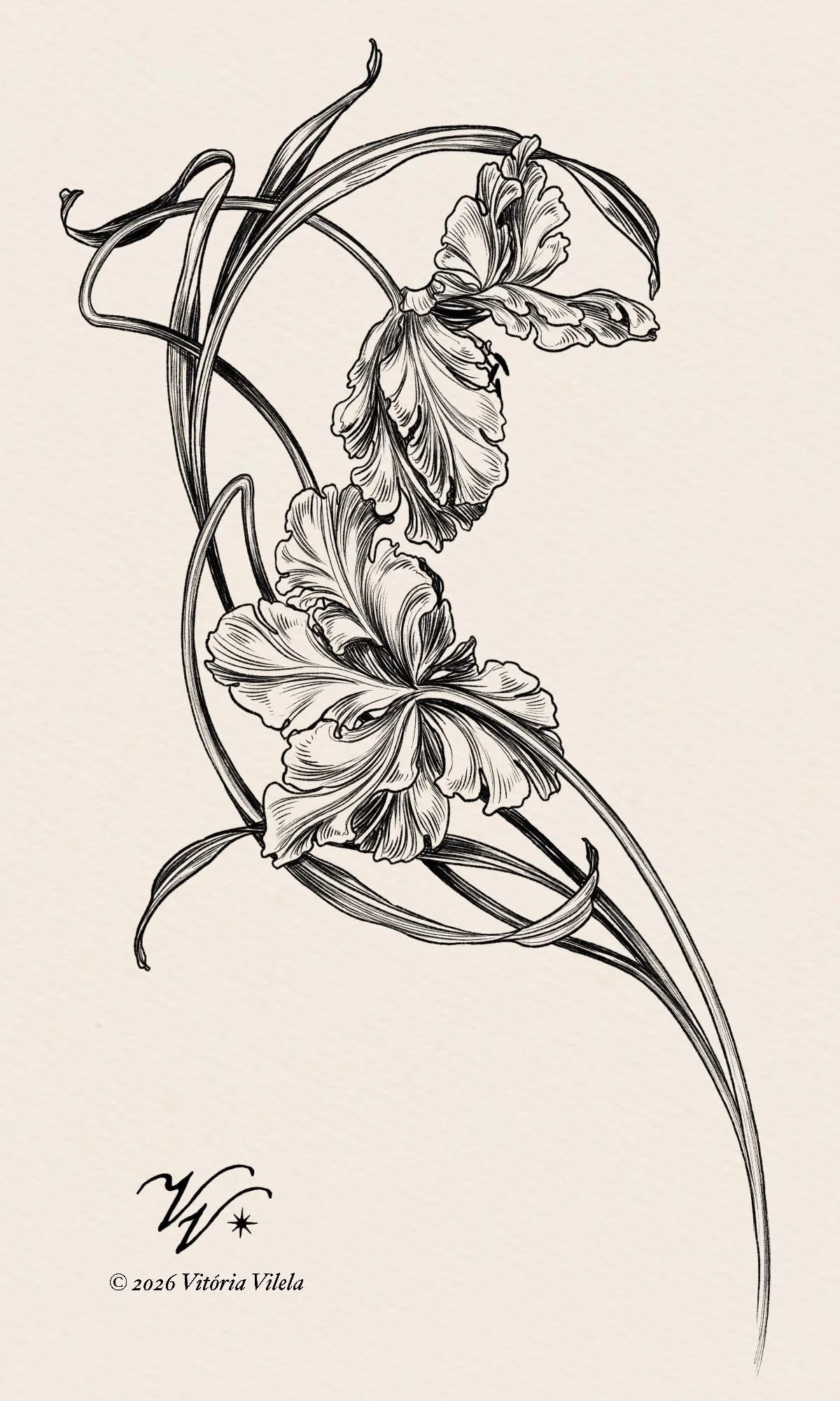 Tulip N.100 - Min. 40cm