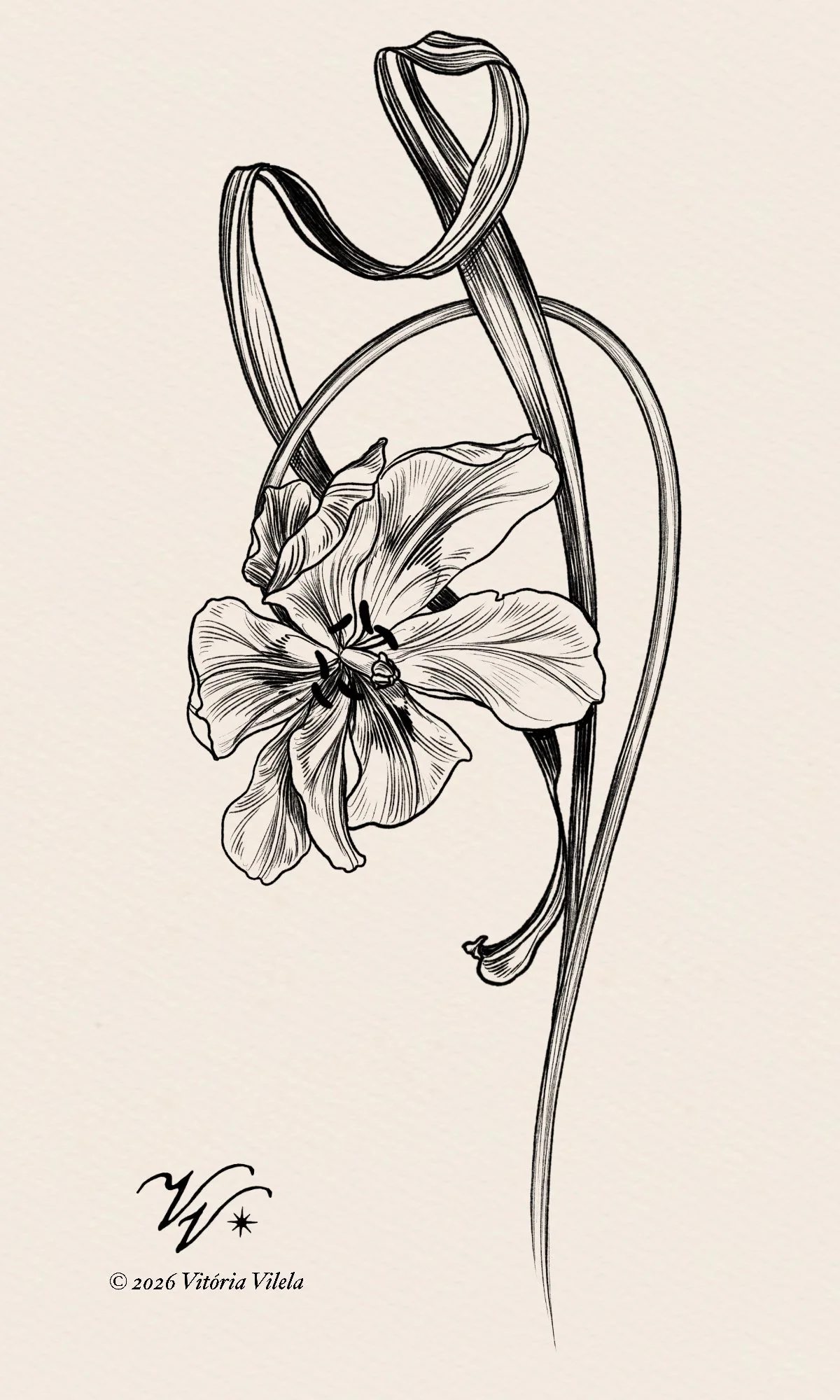 Tulip N.99 - Min. 17cm