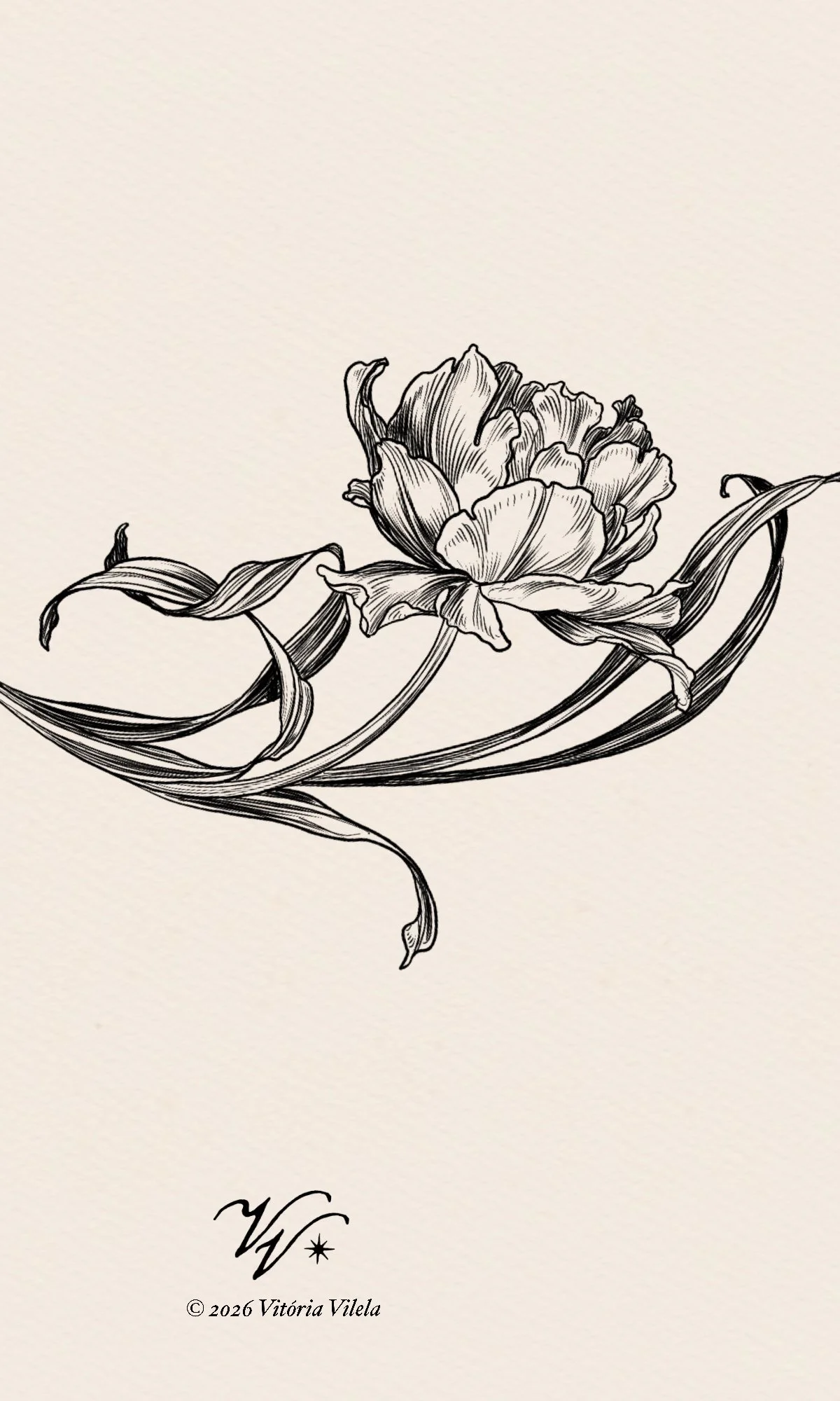 Tulip N.86 - Min. 10cm tall