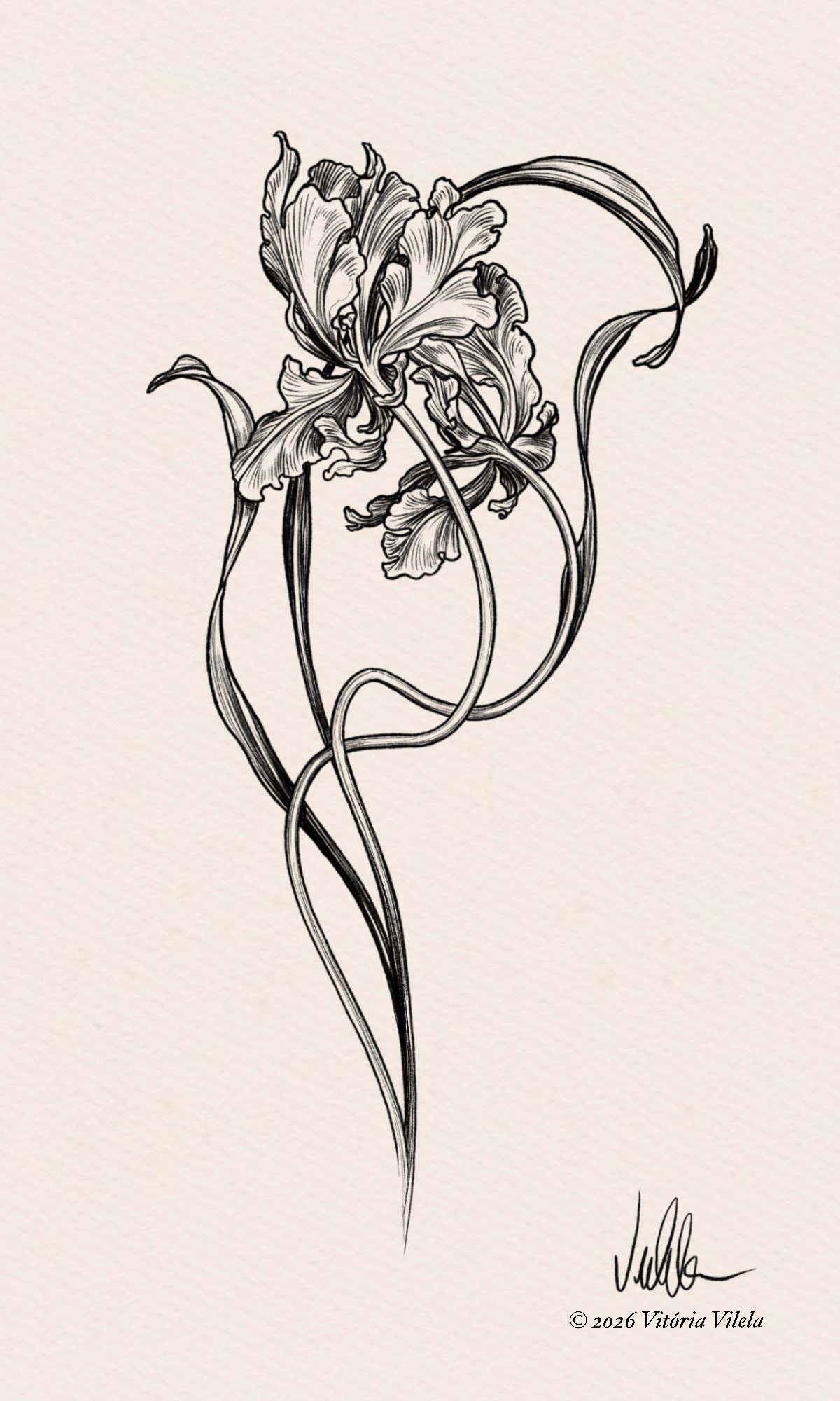 Tulip N.88 - Min. 25cm