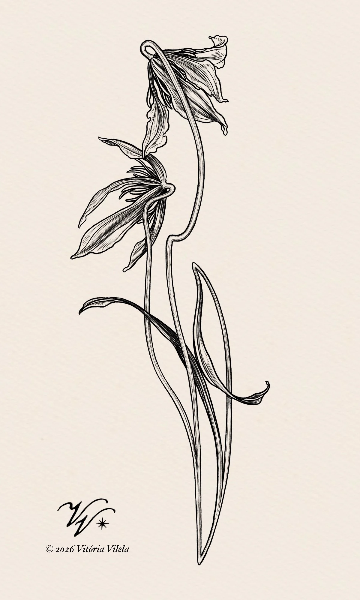Clematis N.9 - Min. 20cm