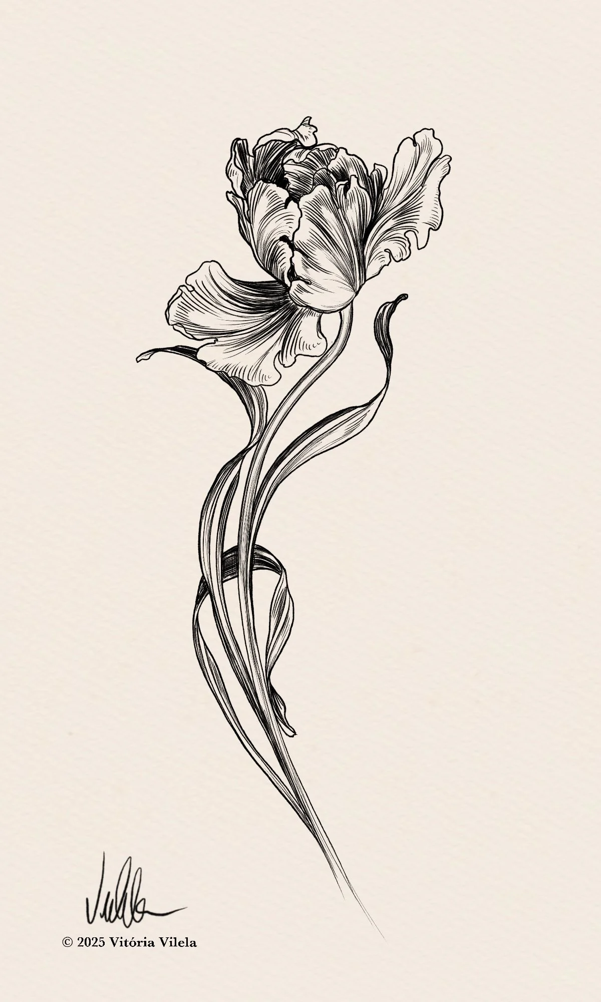 Tulip N.70 - Min.17cm