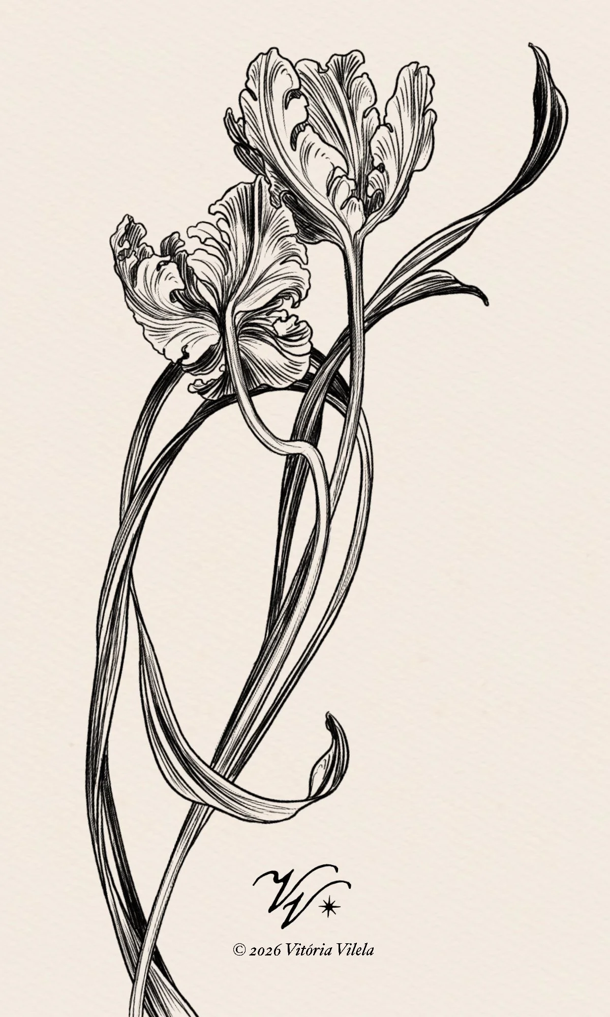 Tulip N.84 - Min. 25cm