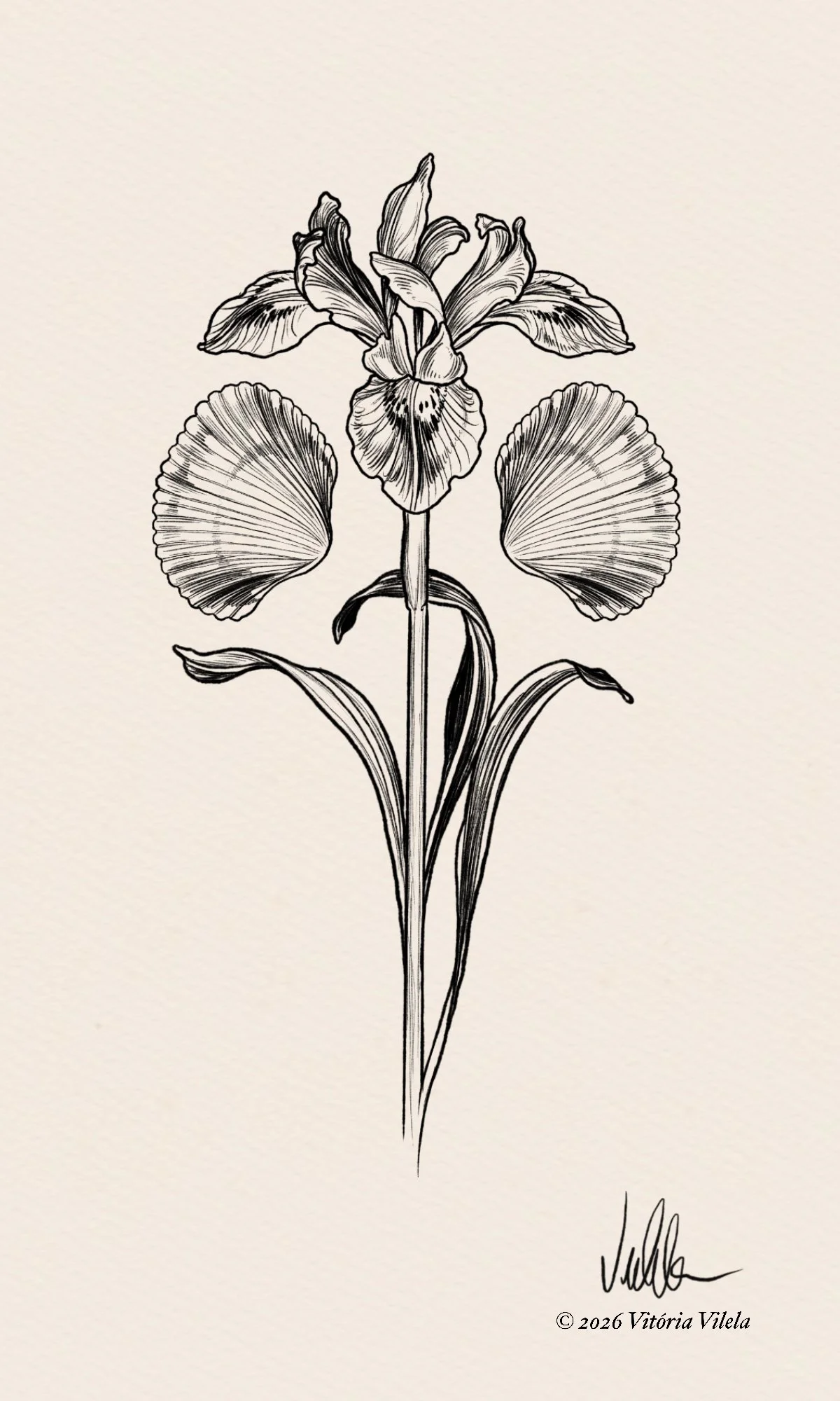 Shells & Blooms N.2 - Min. 17cm