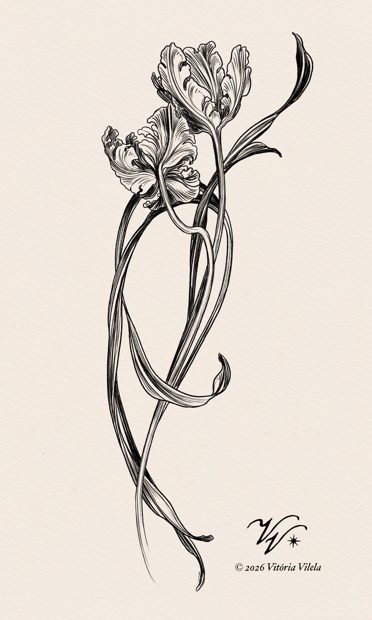 Tulip N.84 - Min. 25cm