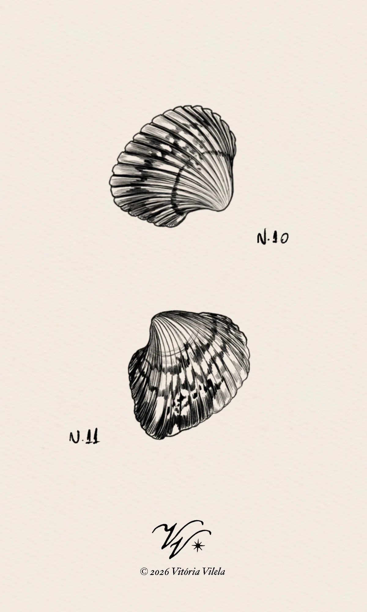 Shell N.10 + Shell N.11 - Min 3-4cm