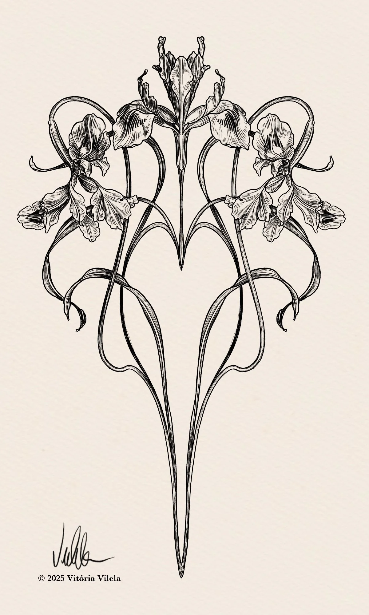 Iris N.22 - Min. 30-40cm