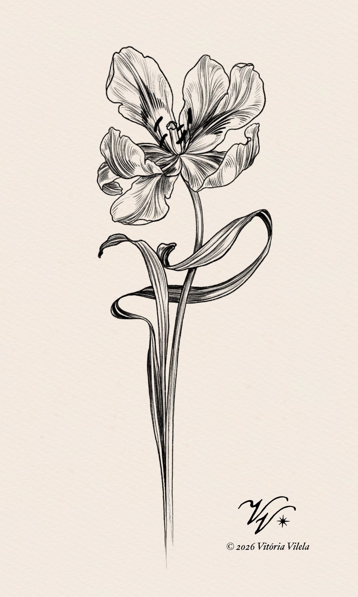 Tulip N.98 - Min. 17cm