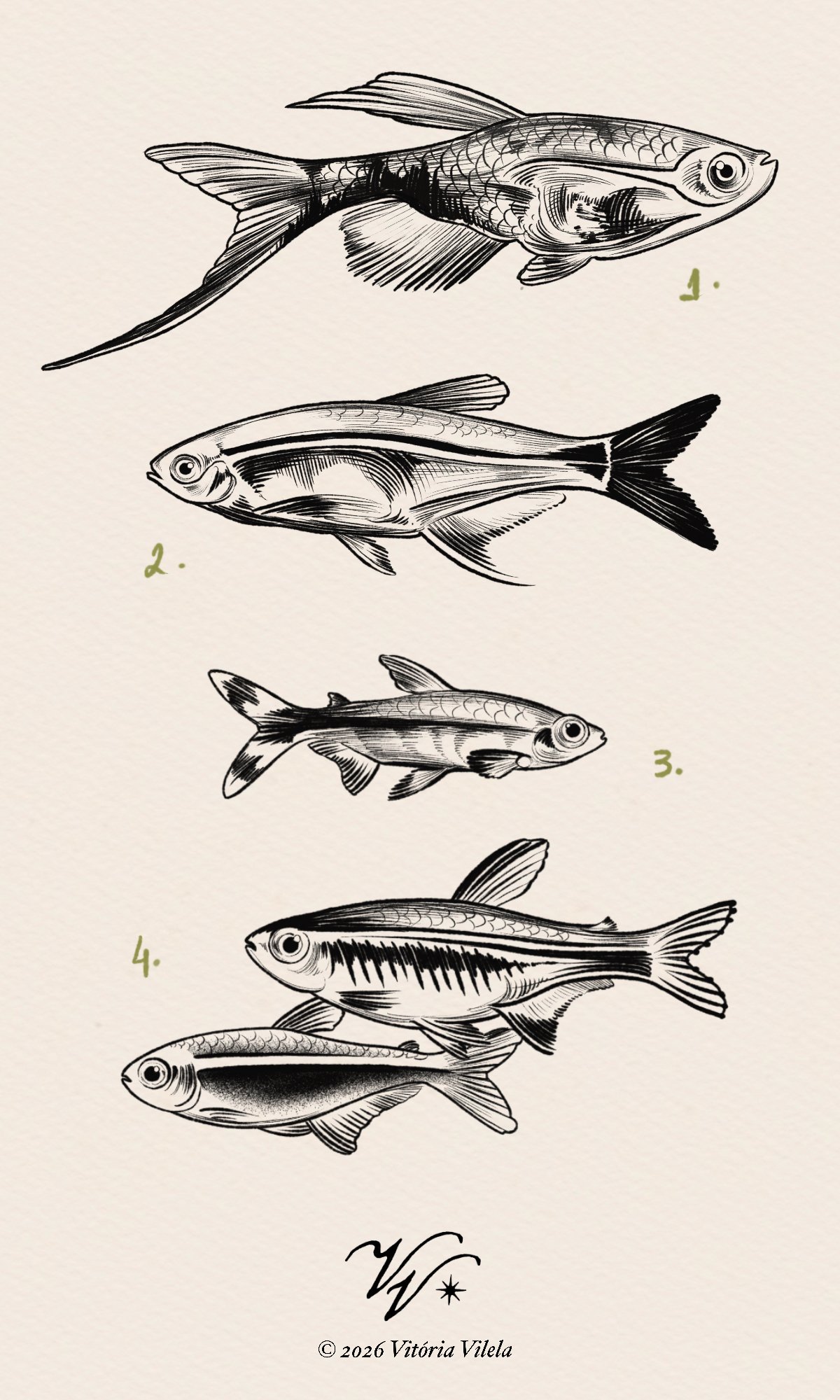 Lil fishies - Min.4-5cm