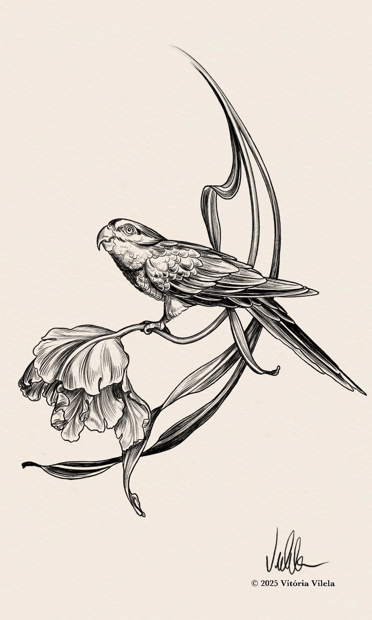 Parrots & Tulips N.2 - 17-20cm