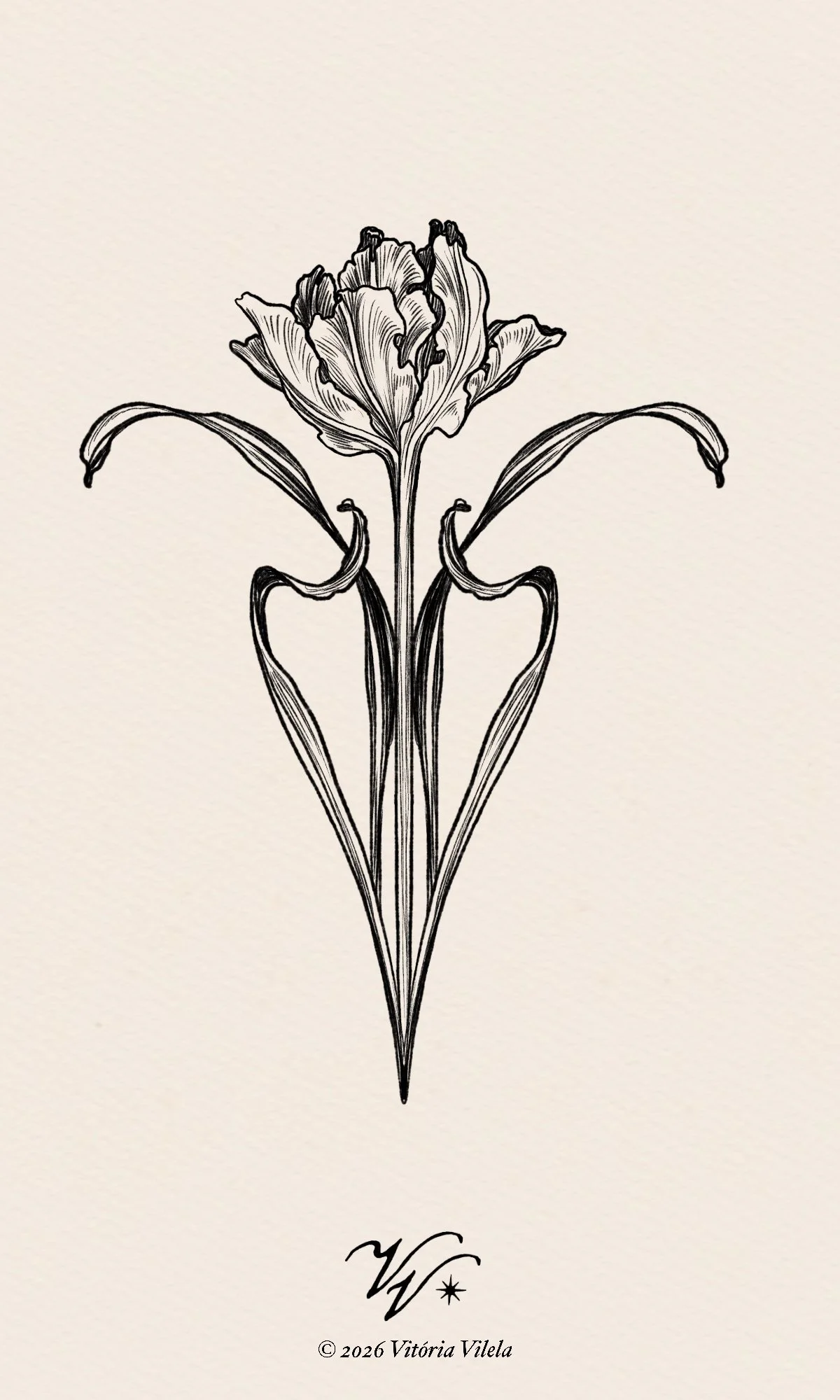 Tulip N.92 - Min. 12cm