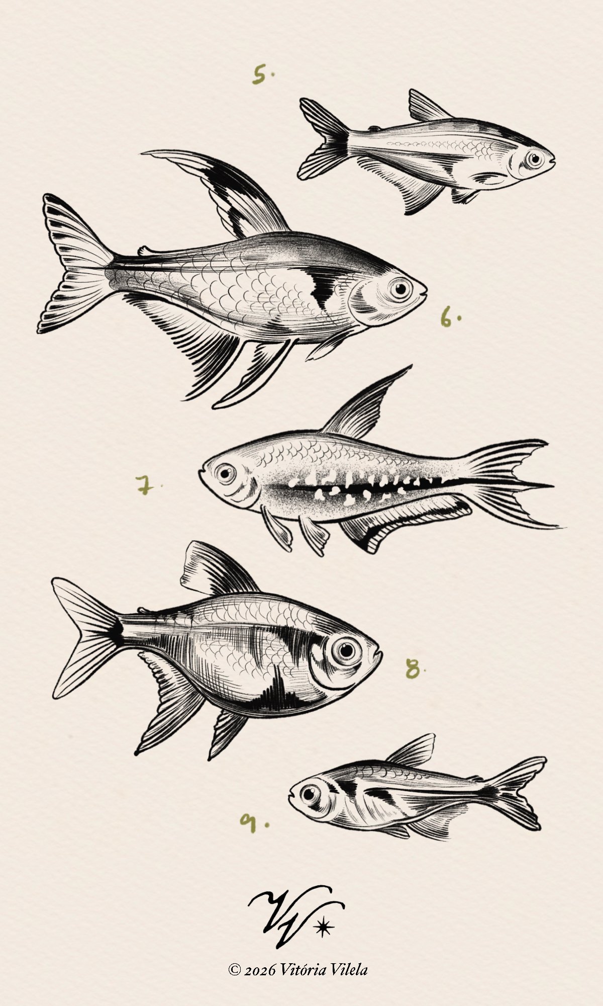 Lil fishies - Min.4-5cm