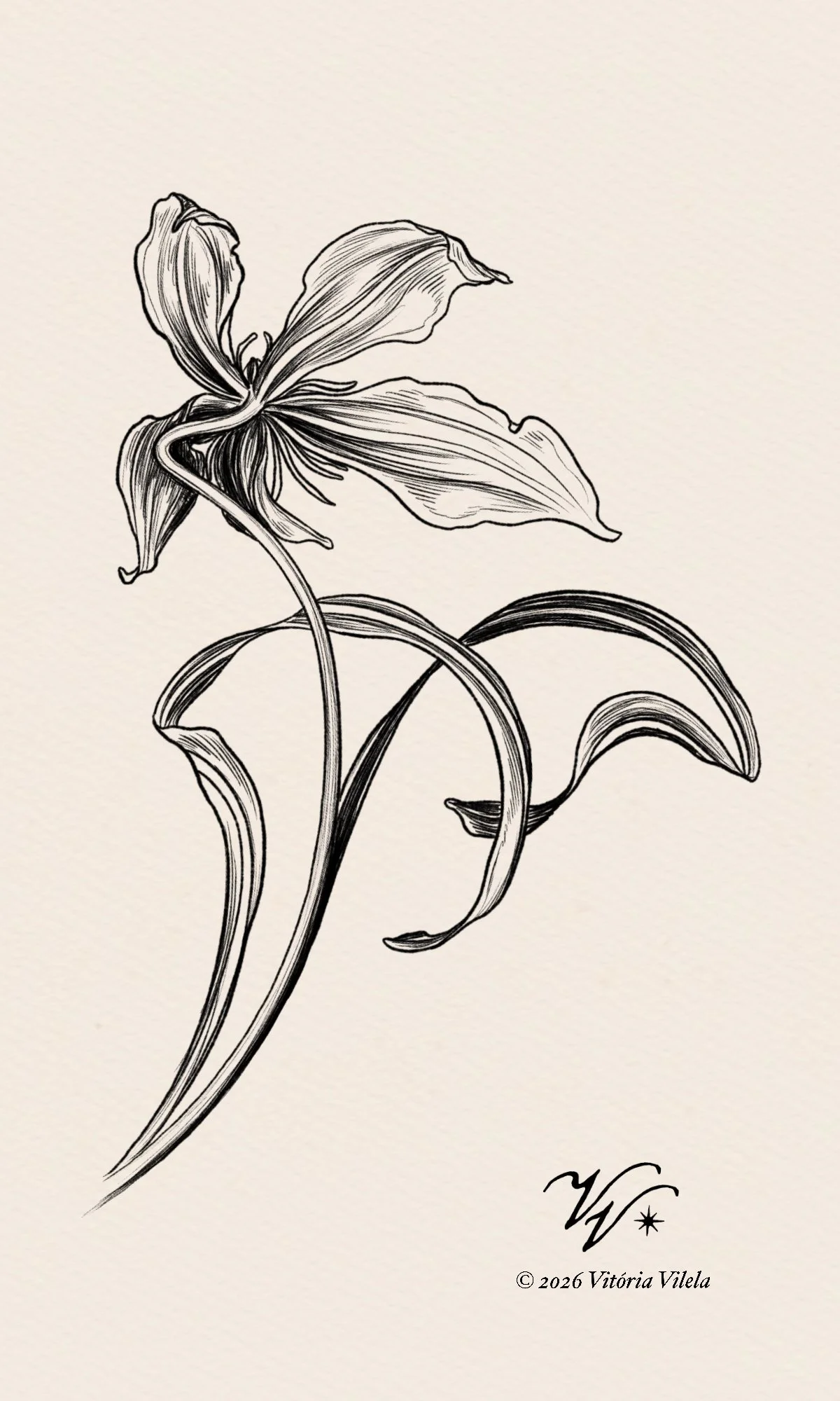 Clematis N.11 - Min. 15cm