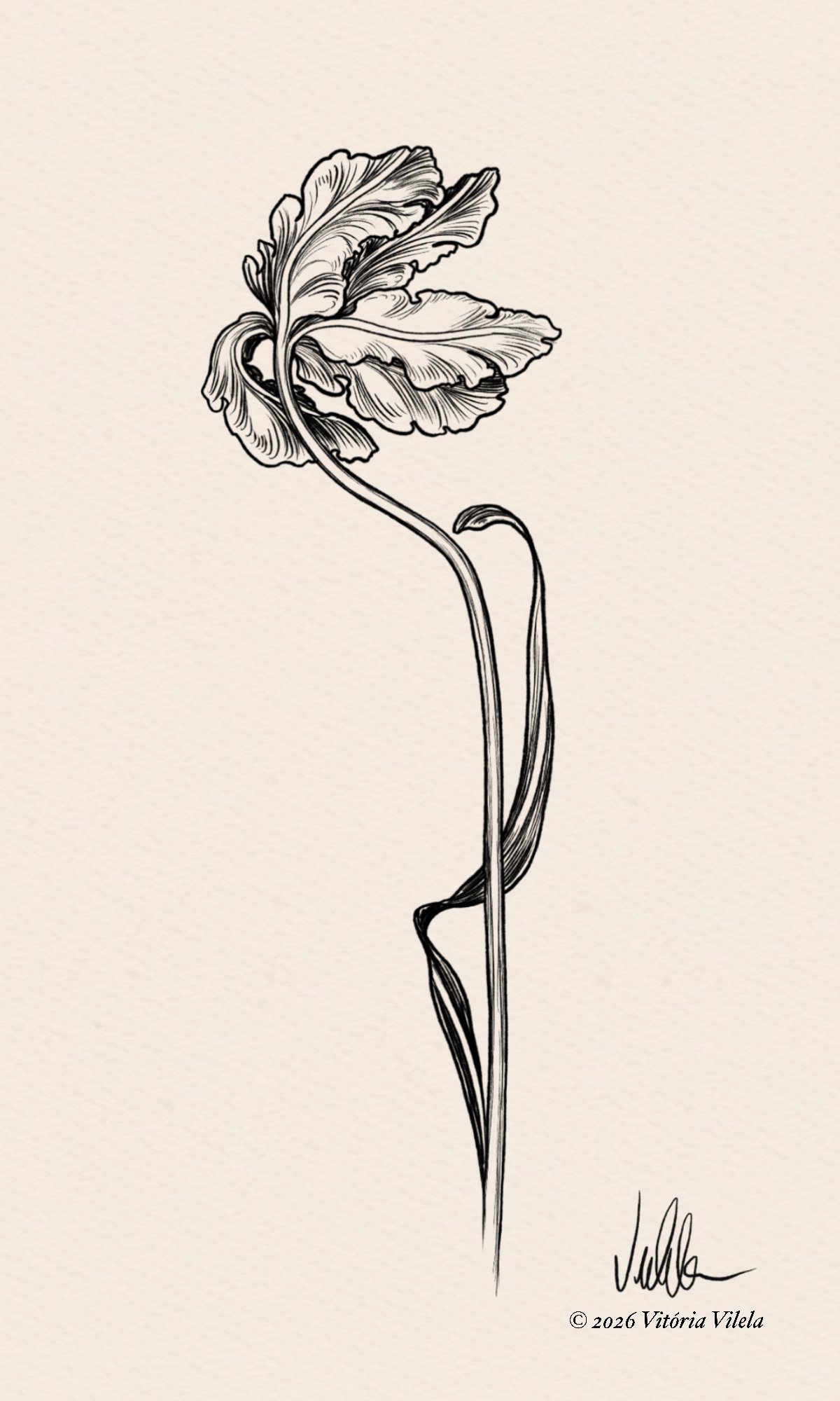 Tulip N.80 - Min. 17cm
