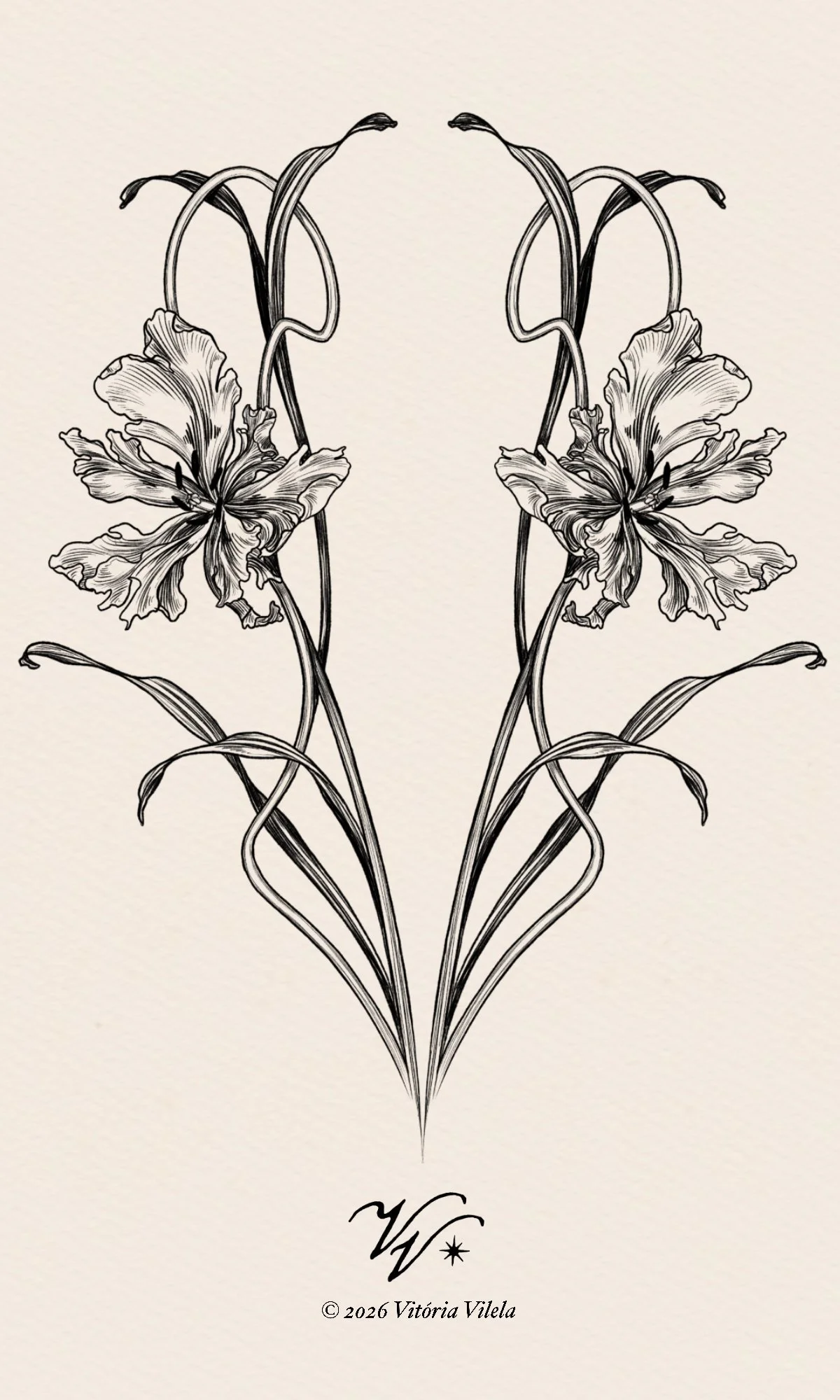 Tulip N.81 - Min. 30/35cm