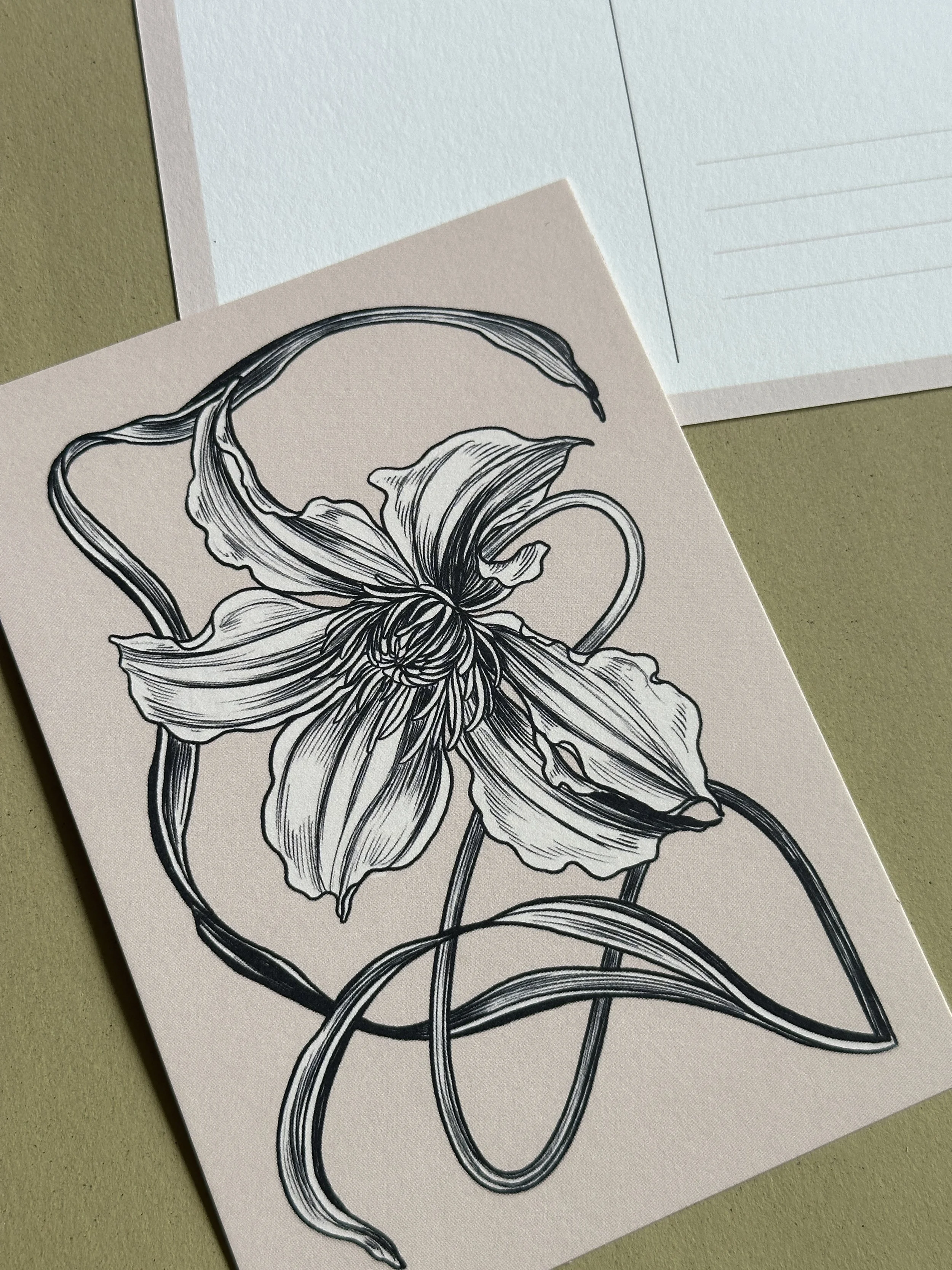 Clematis Nouveau Postcard