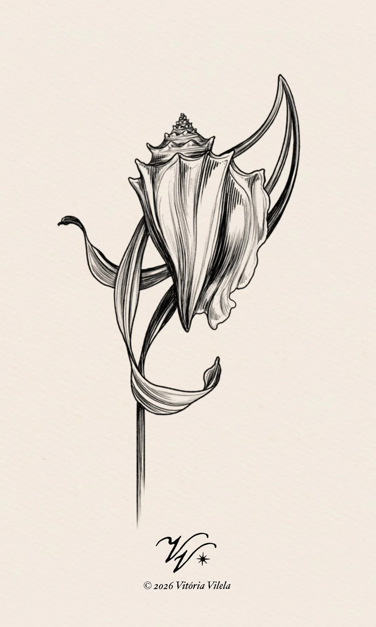 Shell N.13 - Min 15cm