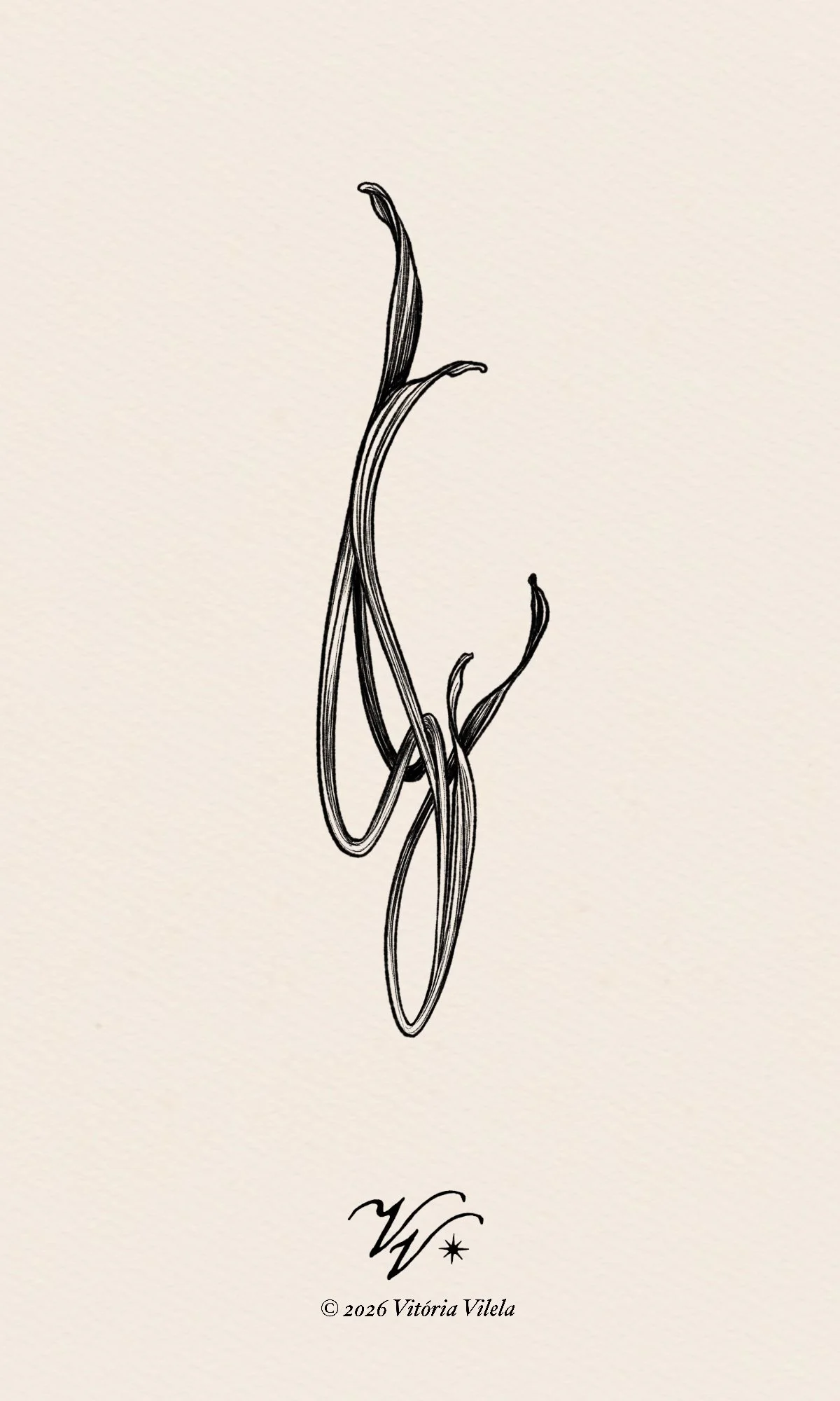 Interlace N. 14 - Min 12-15cm