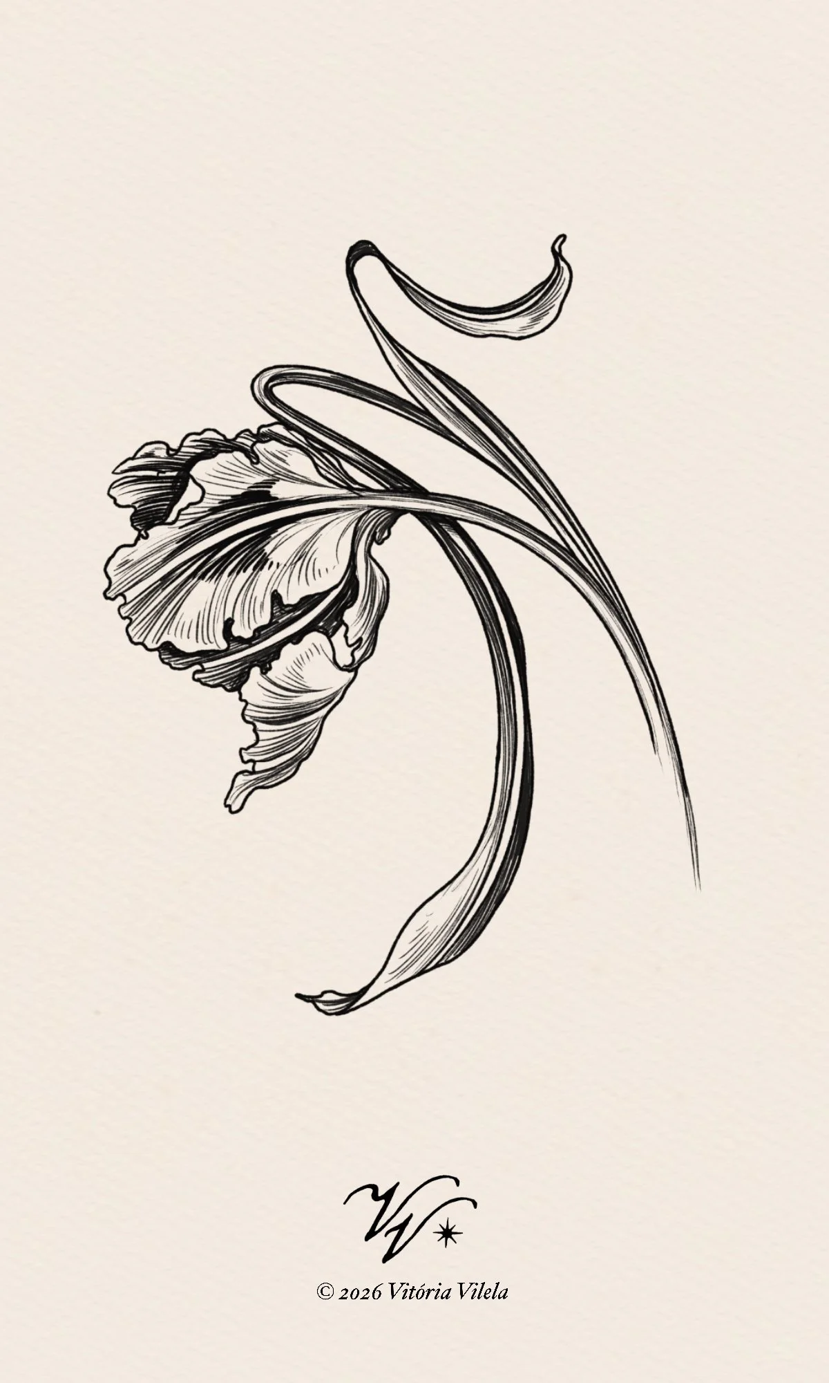 Tulip N.91 - Min. 10cm