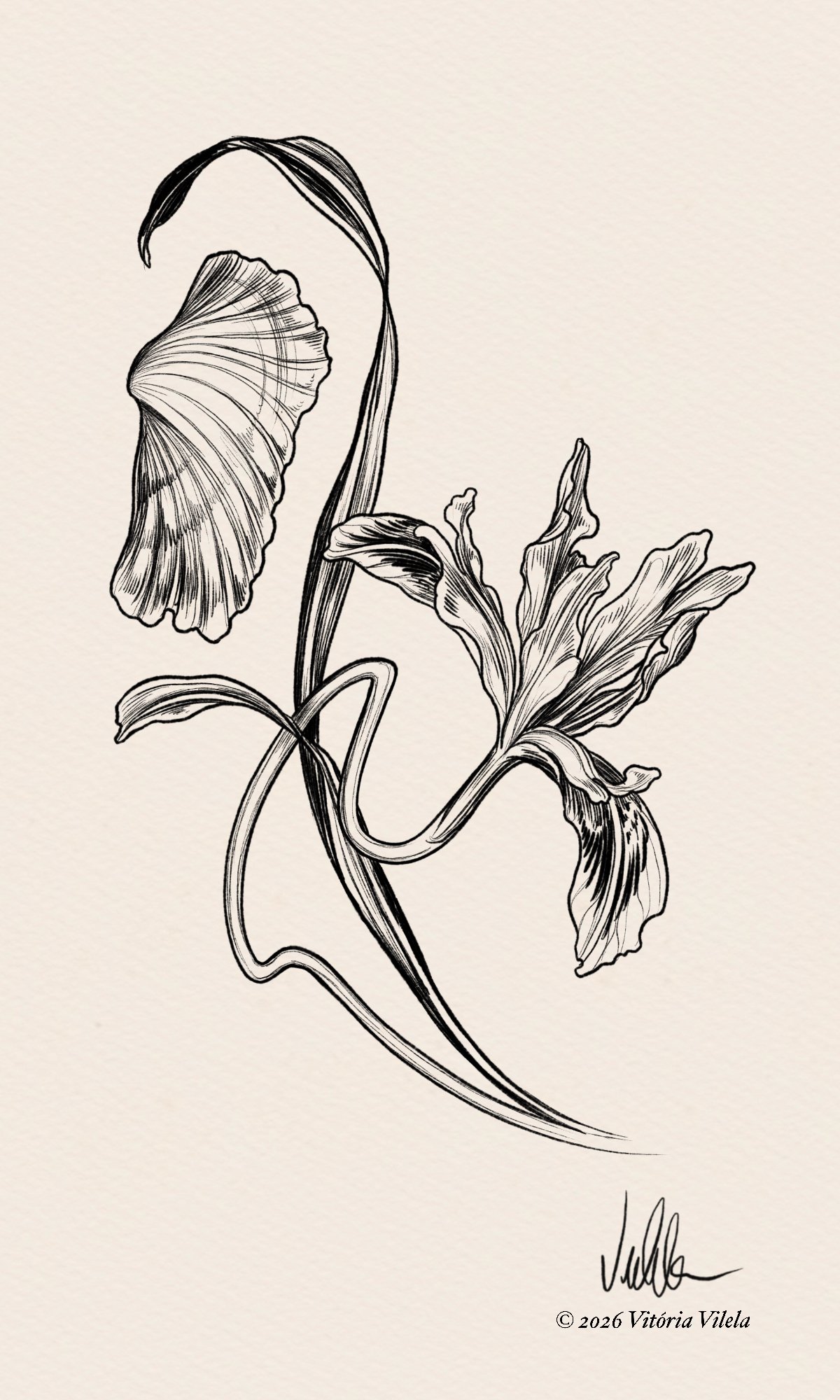 Shells & Blooms N.4 - Min. 15cm