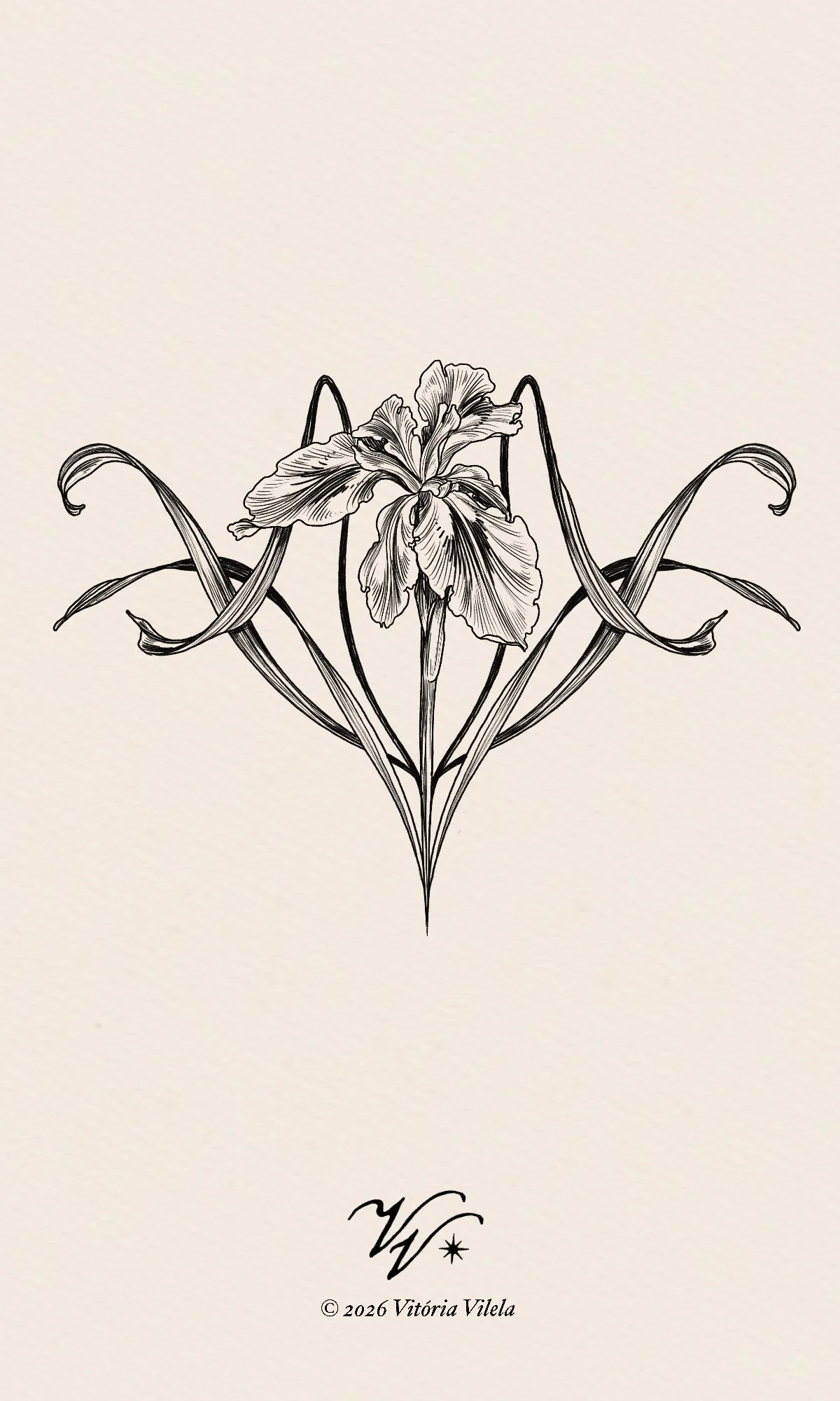 Iris N.30 - min. 15cm width