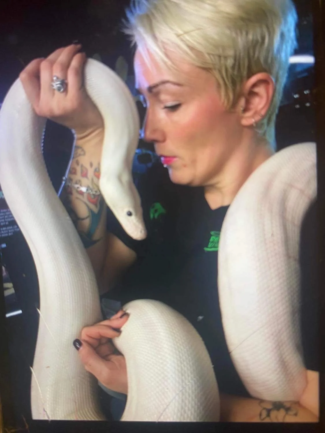 Black Ice Leucistic CB 2012