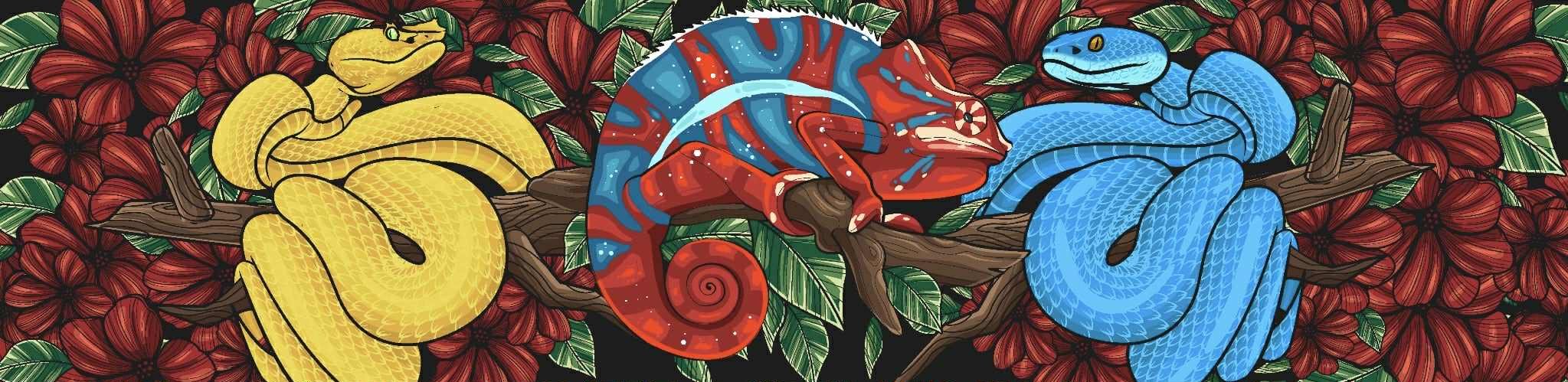 Christmas and New years opening times 🎅🎅