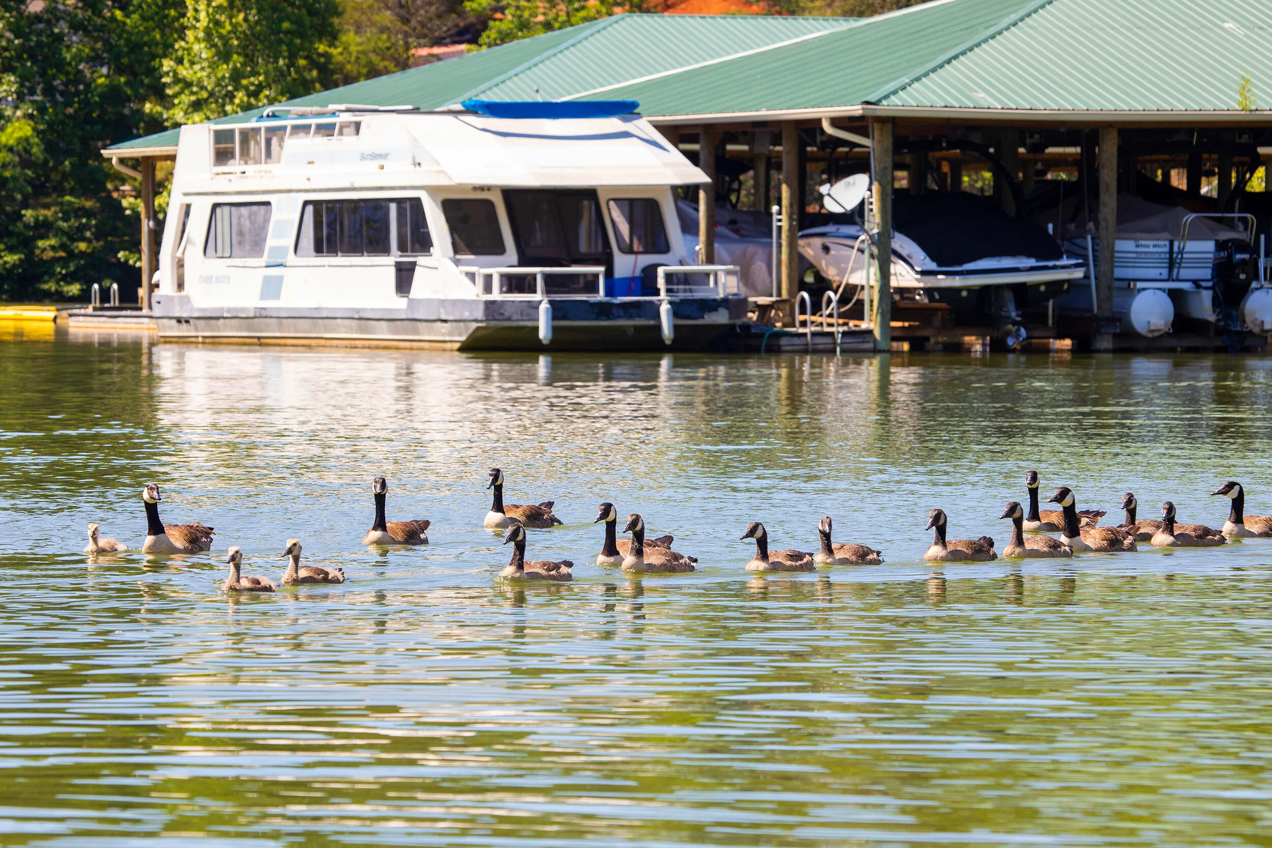 About Us — Halesford Harbour Resort