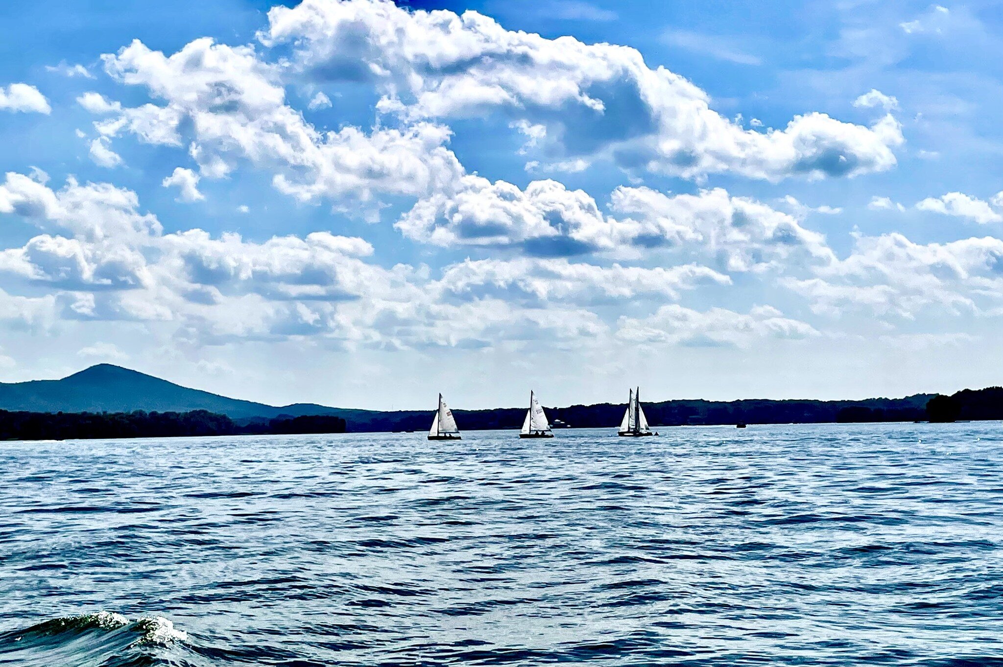 Halesford Harbour Resort