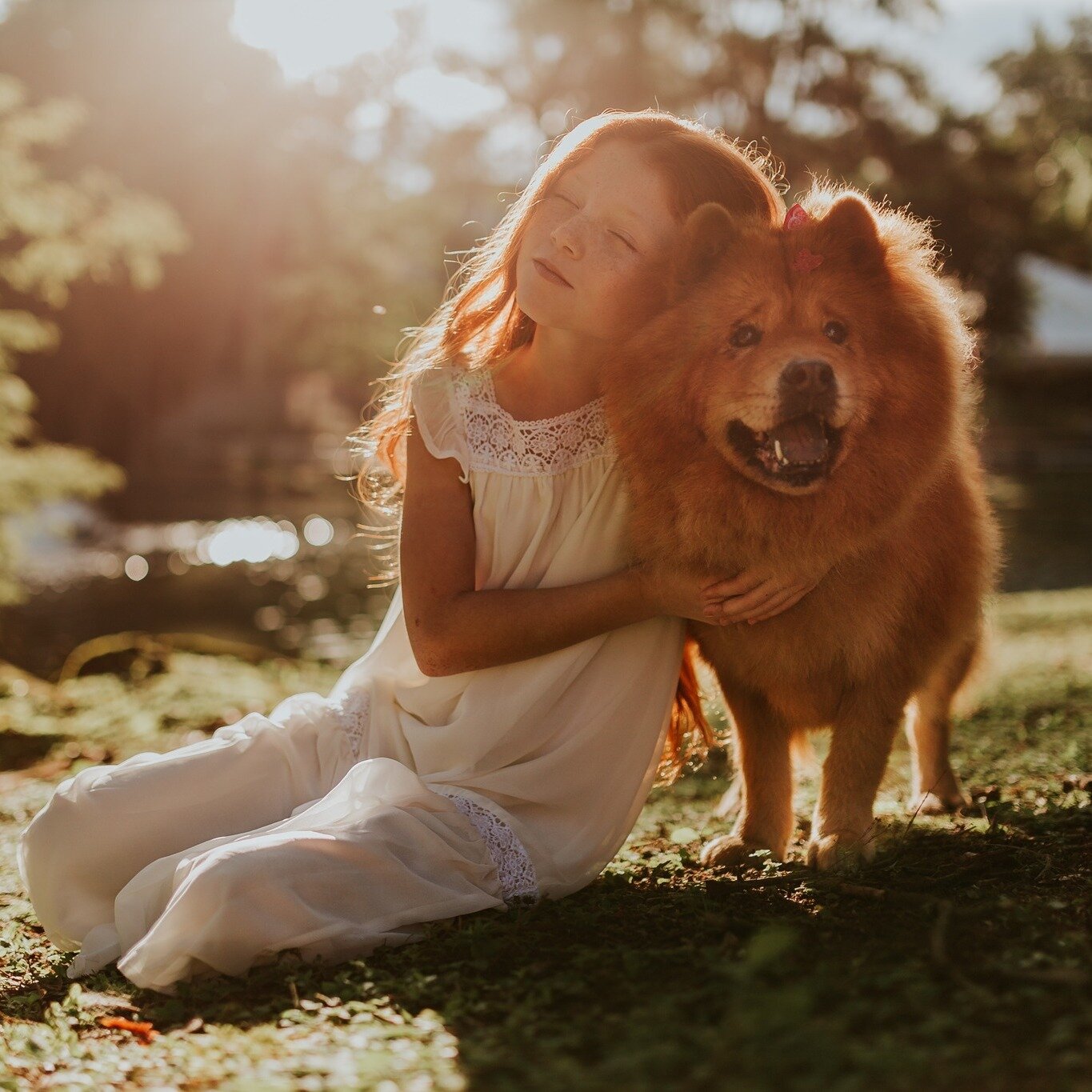 In addition to a private beach and boat rentals, our RV park and inn are pet-friendly.🐶 Bring your best friend and make new ones too!🐾

https://www.campspot.com/book/halesfordharbour

#PetFriendly #BookYourGetAway #SummerFun