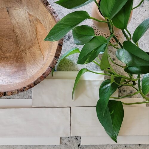 white subway tile samples with wooden bowl and pothos