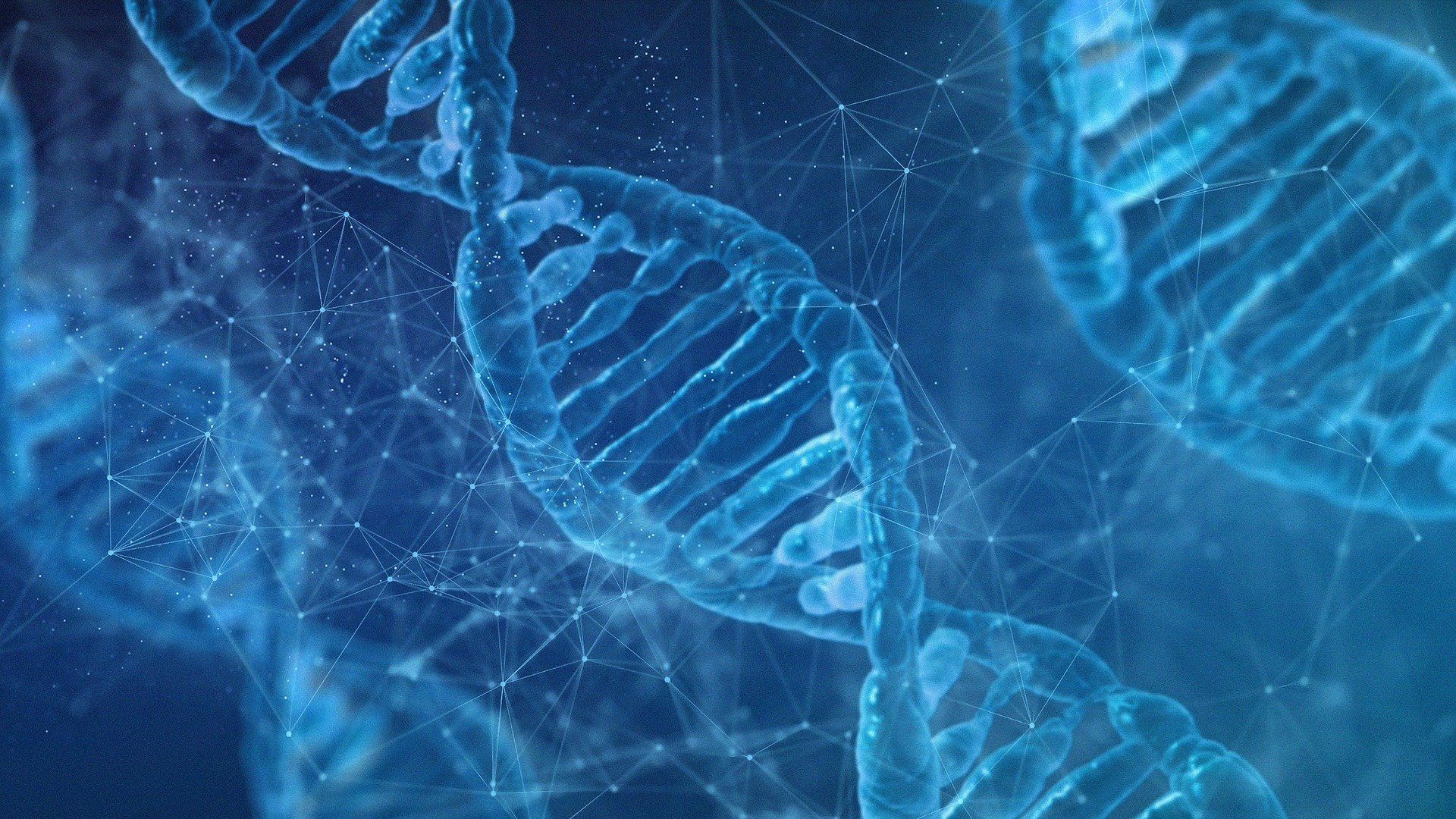 Is Type 2 Diabetes Genetic?