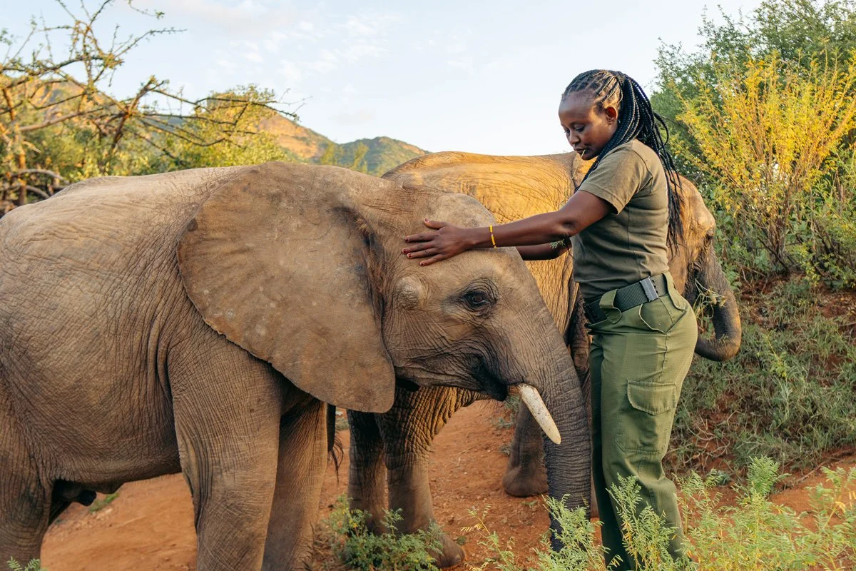 The Sarara Foundation's female rangers in Northern Kenya