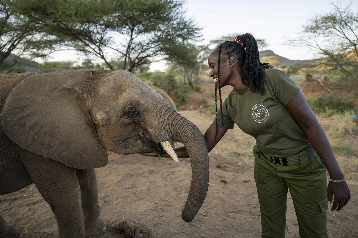 RETETI ELEPHANT SANCTUARY