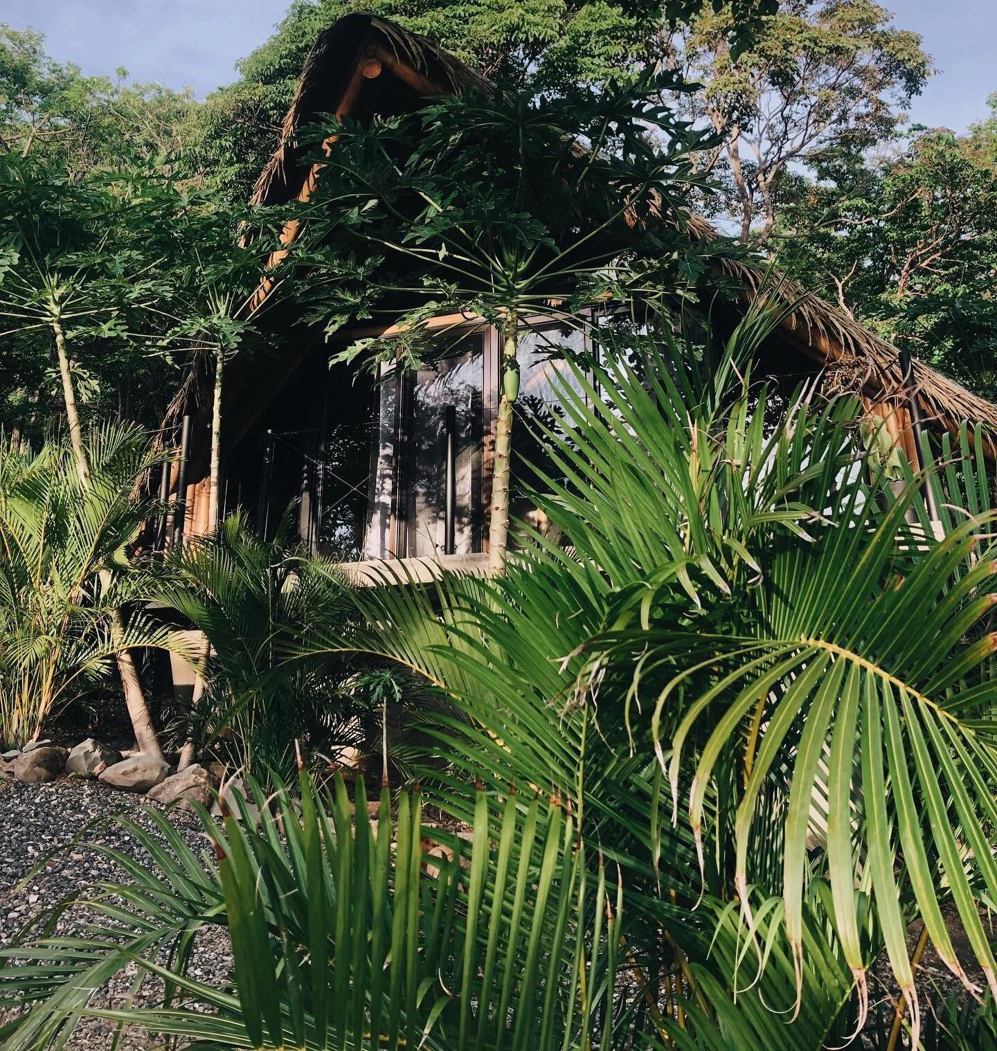 N A T U R E [ the anti hotel experience] 
Get into it. @santoshasurfsanctuary 
Re-opening October 2021. Check our story for a sneak peak of the new restaurant and new rooms! 
.
.
. 
#cabana #tinyhome #bamboo #naturelovers #uniquehotels #traveller #su