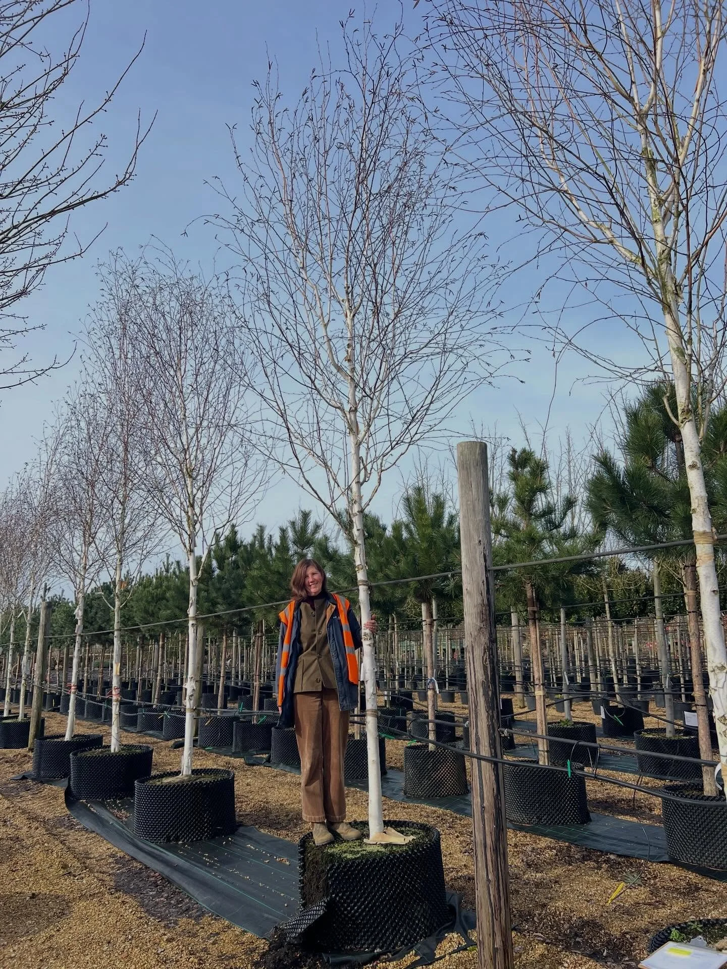 Chilly morning tree tagging @deepdaletrees for a very special project later this year. Thank you Craig, for all your help!
.
.
@deepdaletrees 
#gardendesign 
#landscapedesi̇gn 
#lovemyjob 
#norfolkgarden
