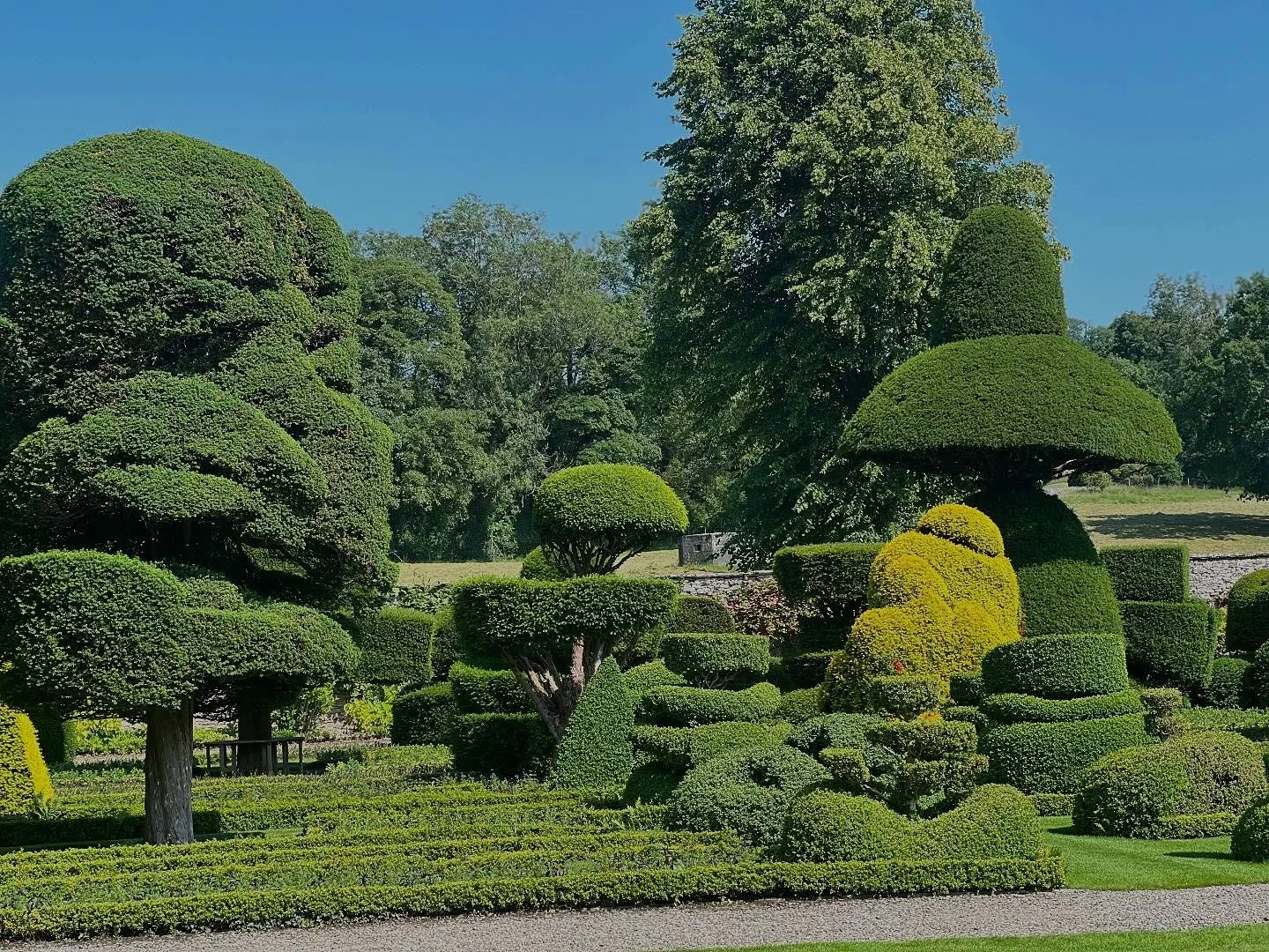 Then on to see the incredible topiary @levenshall
#topiary 
#northern #tour
#gardenvisitor